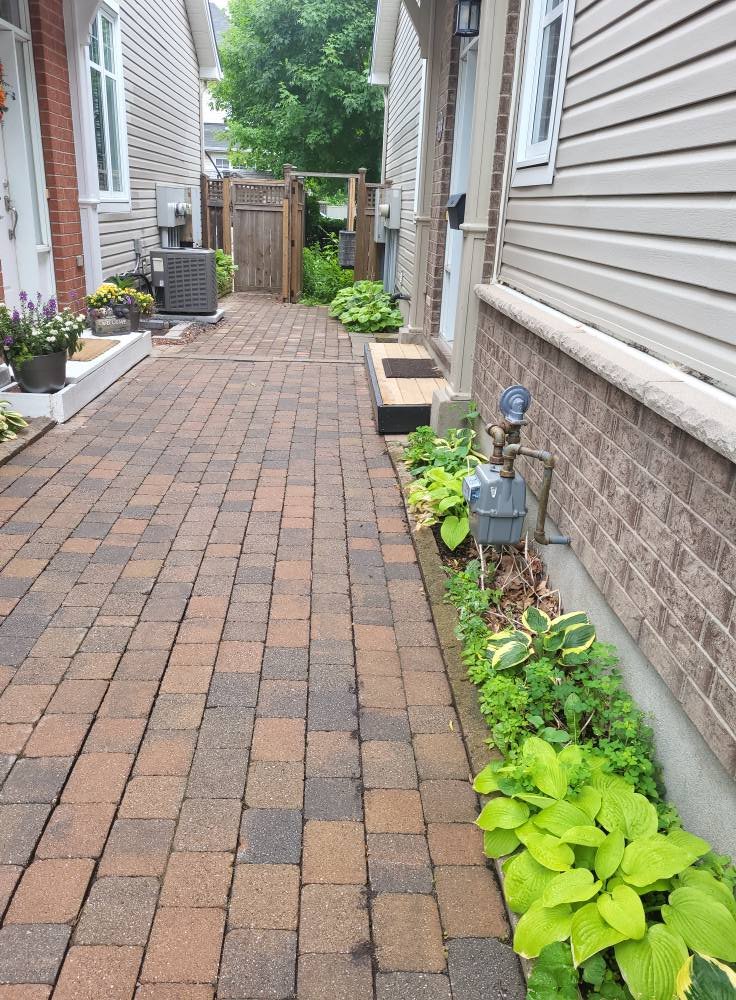 Brick patio between two houses with flower beds, a wooden fence gate, and greenery in the background.