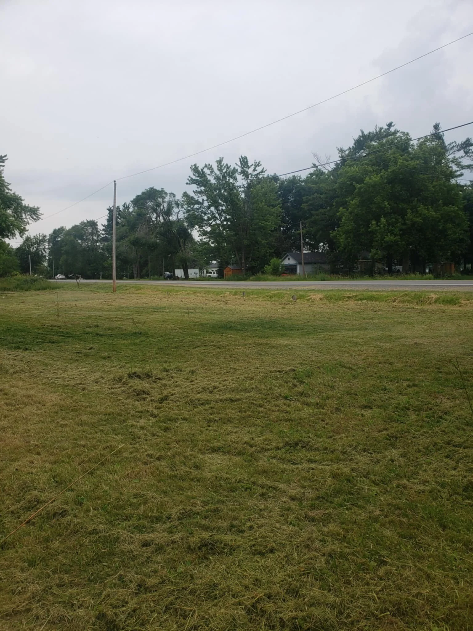 A grassy area in the foreground with a road and trees in the background on a cloudy day.
