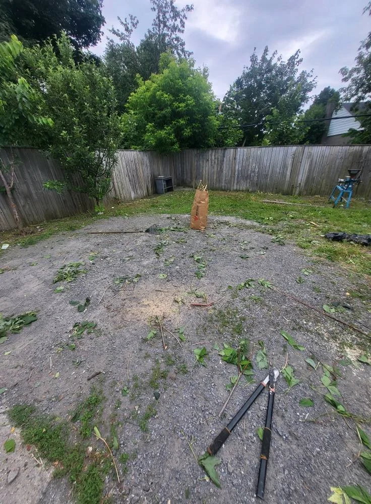 Backyard with yard waste, tools, and debris scattered on the ground, surrounded by a wooden fence and trees.