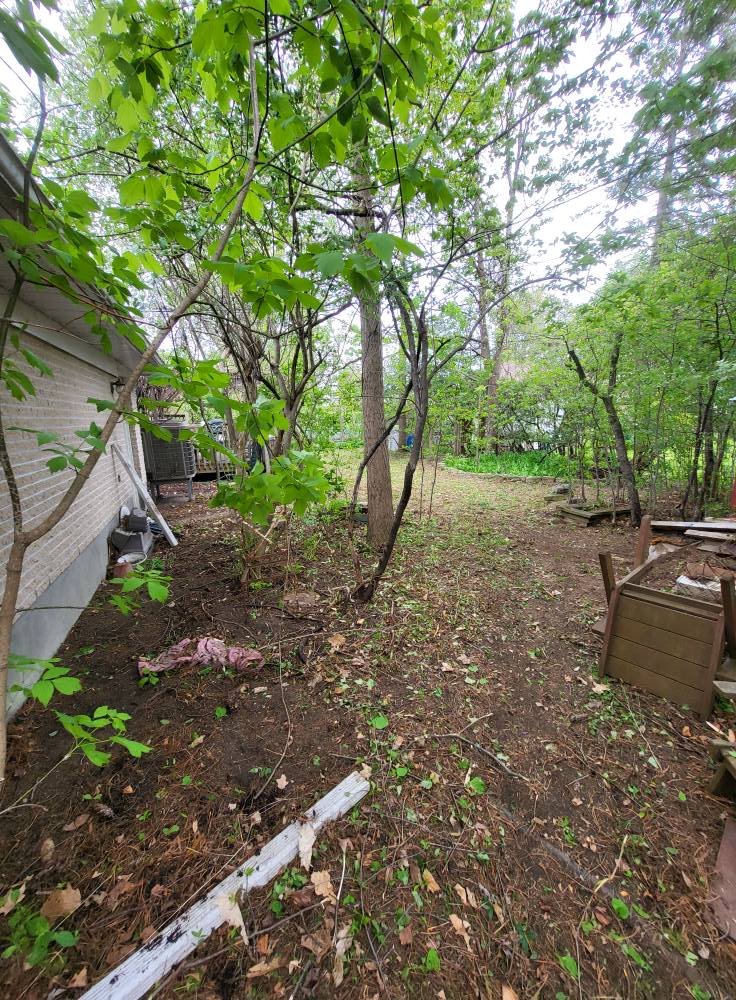 A backyard with bare ground, small trees and bushes, some wooden structures, and a house wall on the left. Overcast sky, greenery, and scattered leaves on the ground.