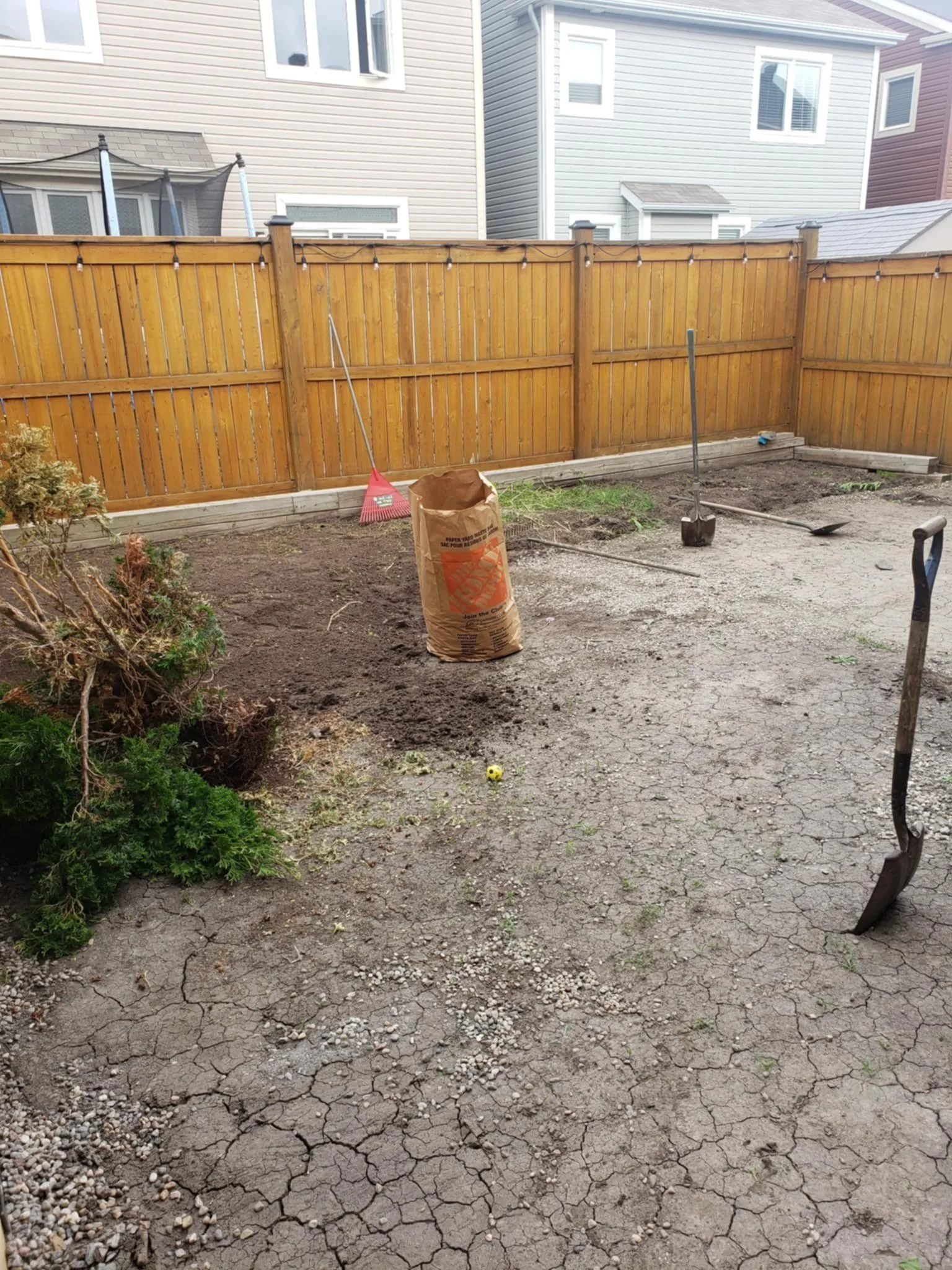 Backyard with a wooden fence, gardening tools, a bag of soil, and some plants
