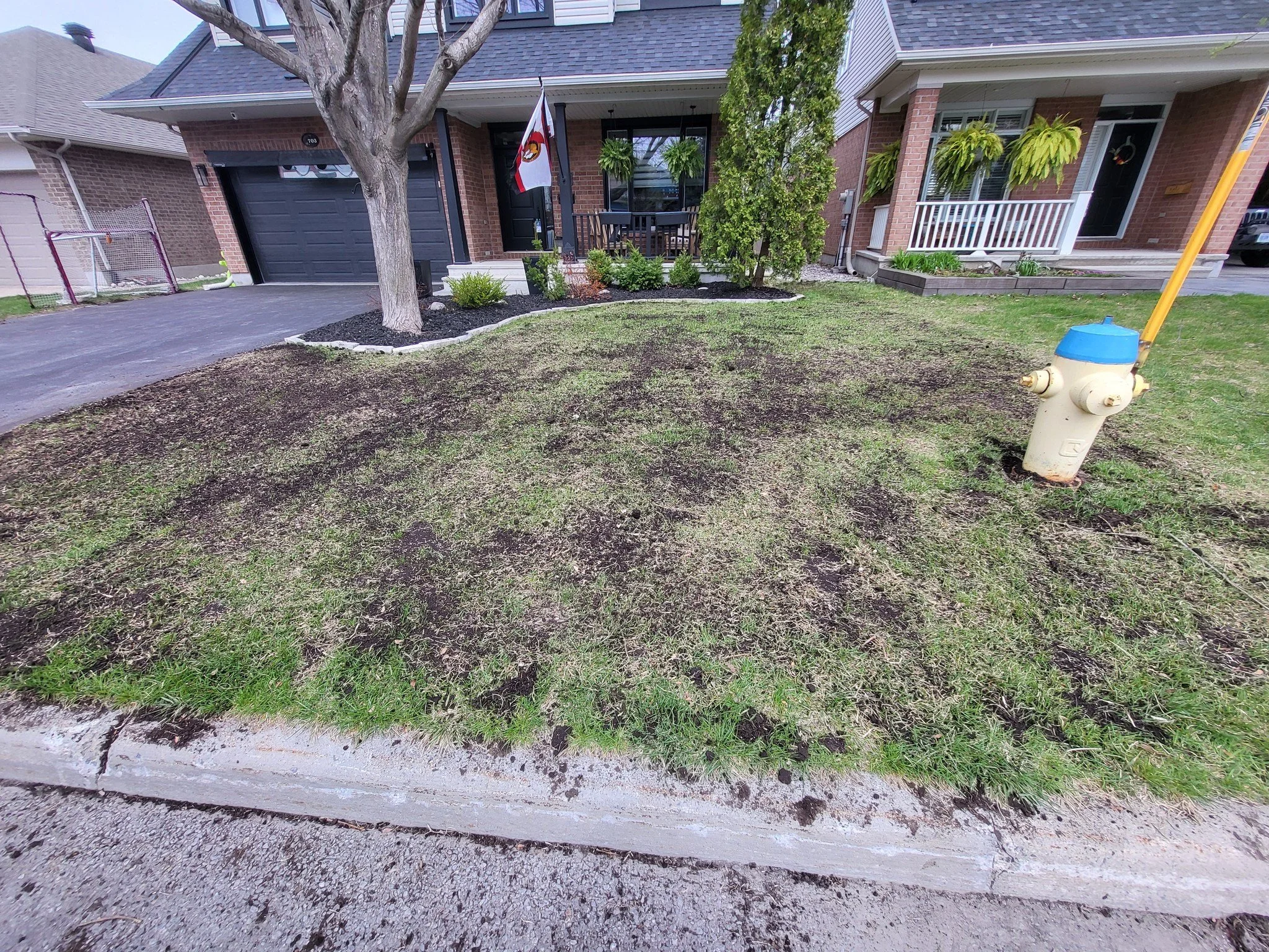 Front yard of a house showing a patchy lawn with some green grass and burnt areas, a tree, a fire hydrant on the sidewalk, and a house with brick exterior and porch.