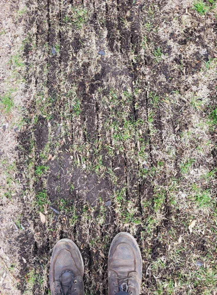 Footwear walking on muddy ground with tire tracks and patches of grass.