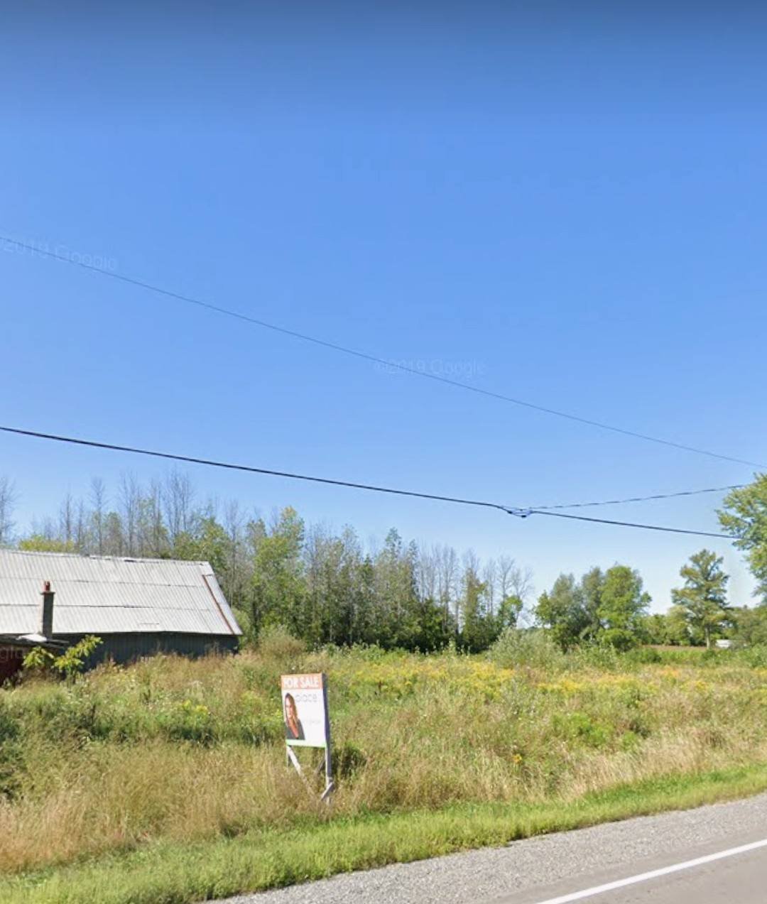 A rural scene with a grassy field, a house with a metal roof, a 