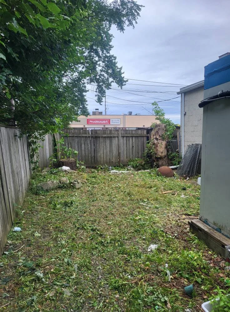 A small backyard with overgrown grass, trash scattered around, a large tree stump, a football, and a weathered wooden fence. In the background, there is a building with a sign that reads 'PHARMASAVE.'