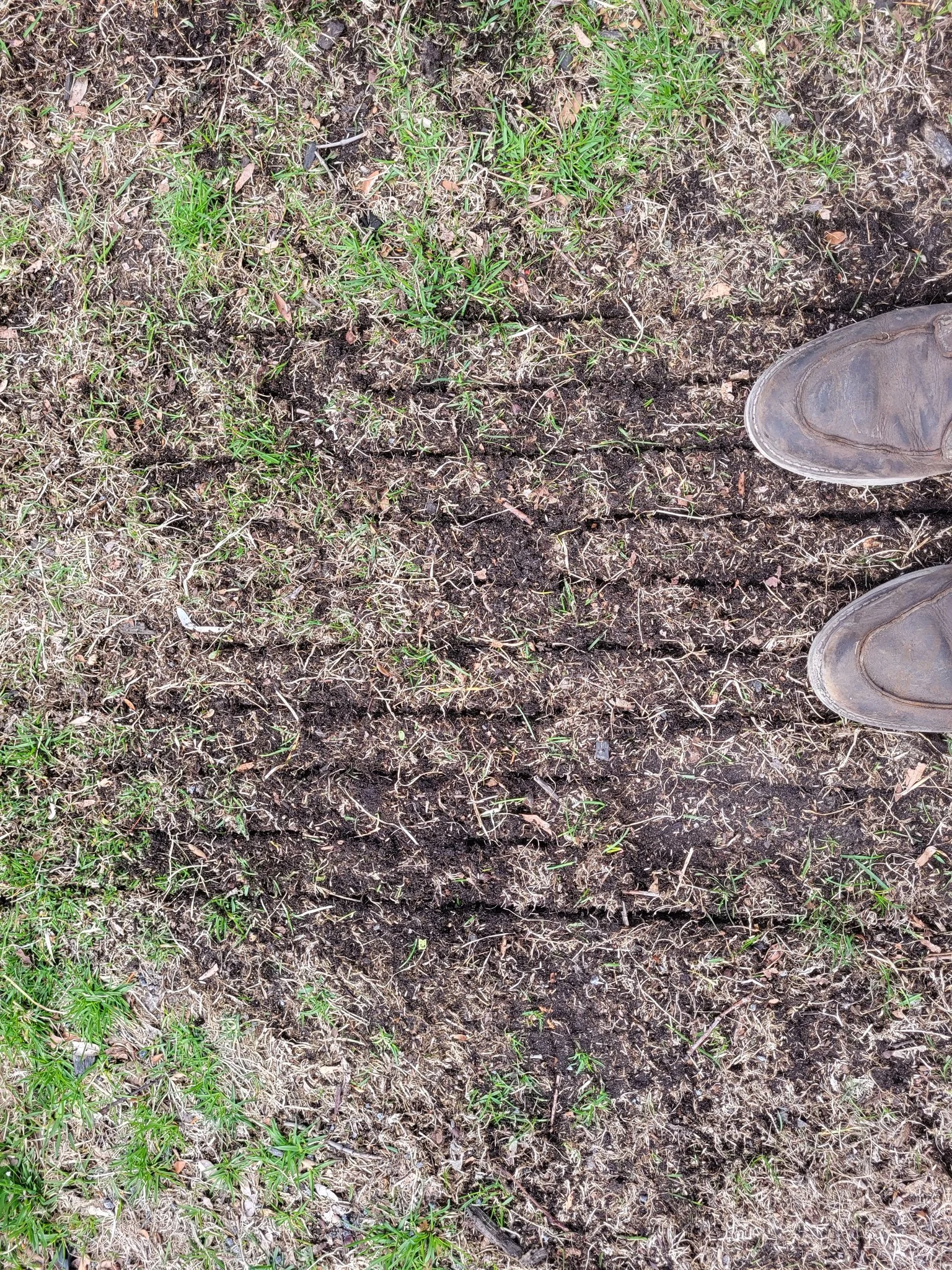 Freshly disturbed soil with visible tire tracks and small patches of green grass, with the shoes of a person standing on the right side.