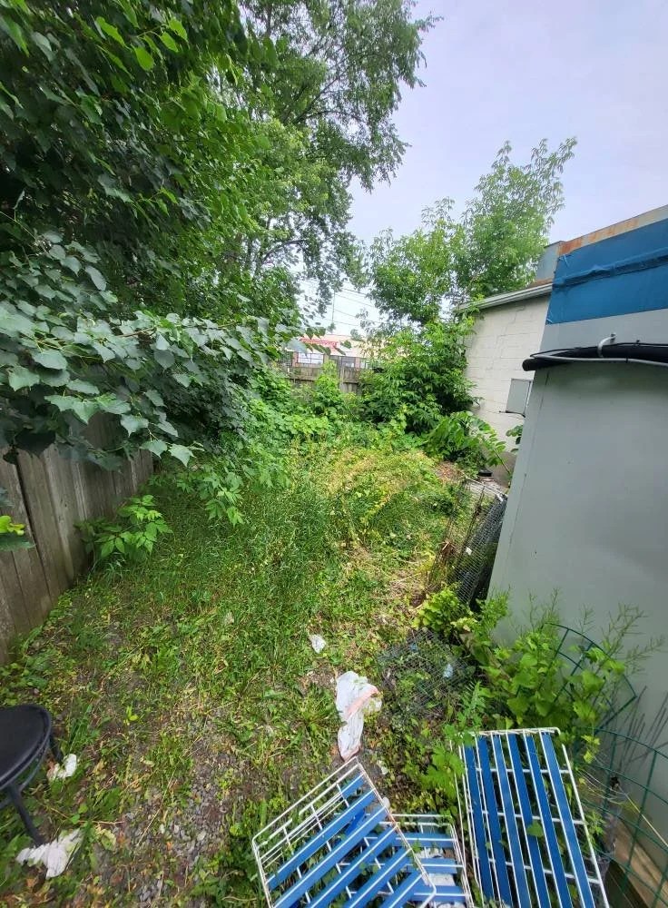 Overgrown backyard with weeds, trash, and overturned metal chairs near a white shed, fenced by a wooden fence, with trees and a cloudy sky in the background.