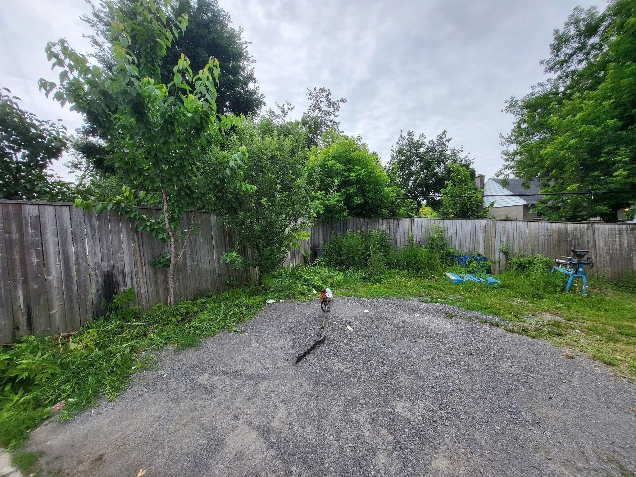 Backyard with a gravel area, surrounded by a wooden fence, trees, and overgrown bushes. There's a small outdoor exercise machine, a padlock, and a paint-roller stick on the ground.