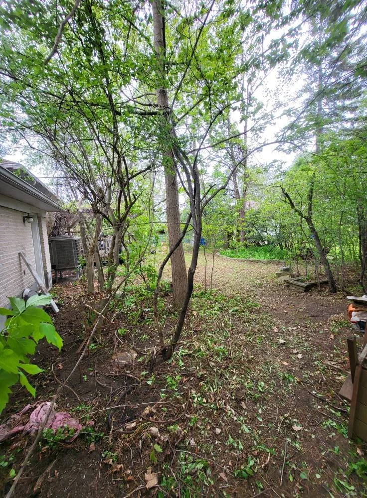 Yard with trees, some green leaves, and a dirt pathway next to a house with an air conditioning unit.