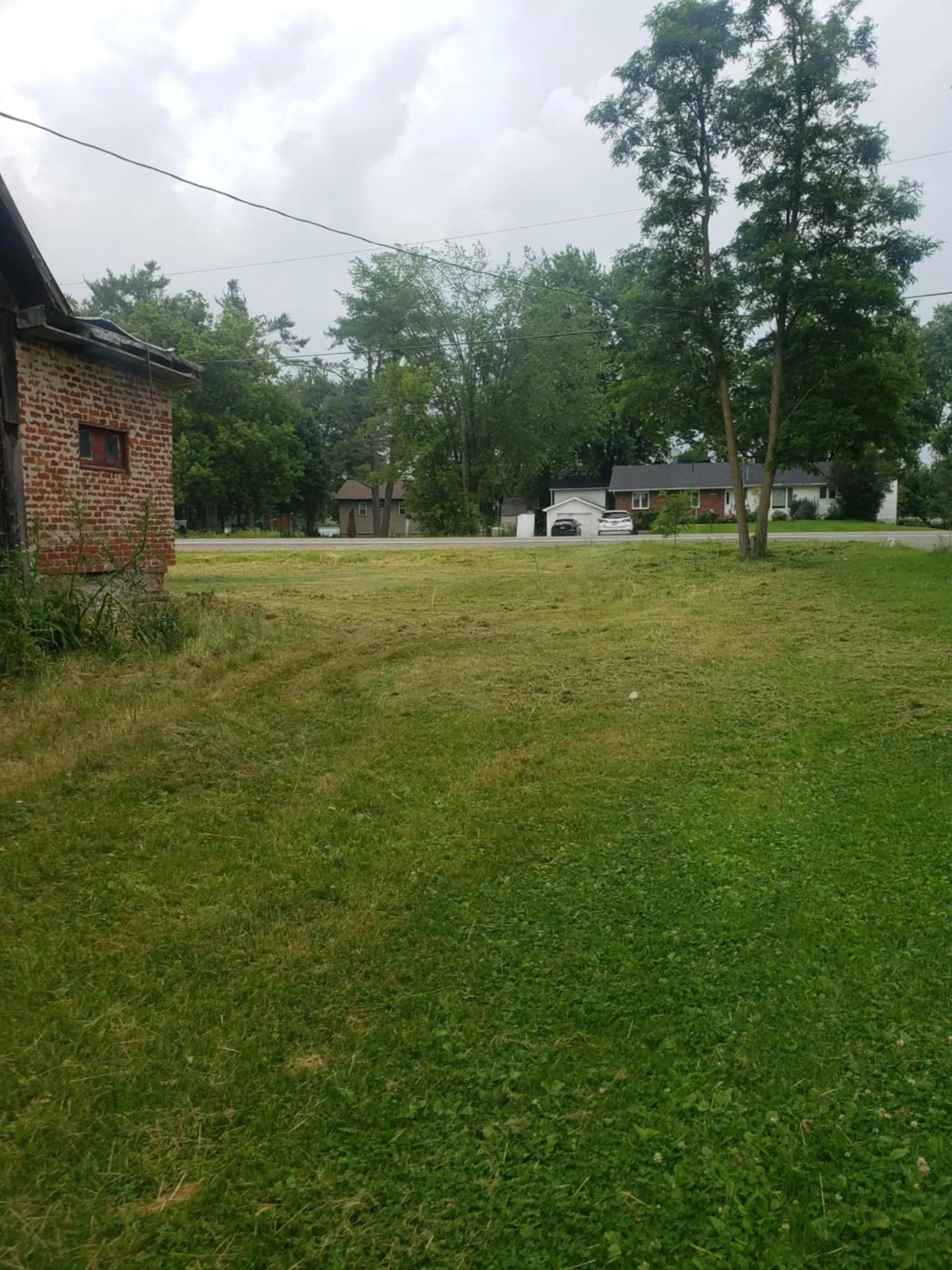A grassy backyard with a brick house on the left, tall trees, and a suburban street with houses and cars in the background under a cloudy sky.