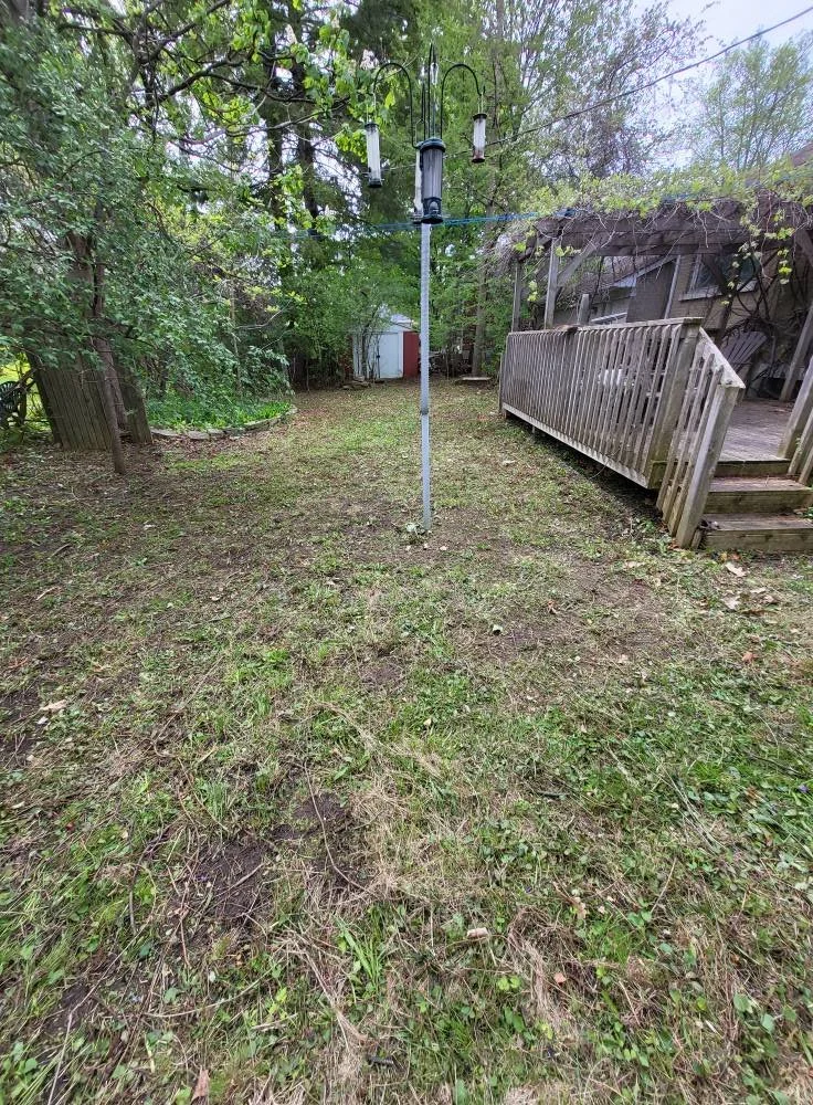 Backyard with grass, trees, a clothesline with clothespins, a small shed, and a wooden deck.