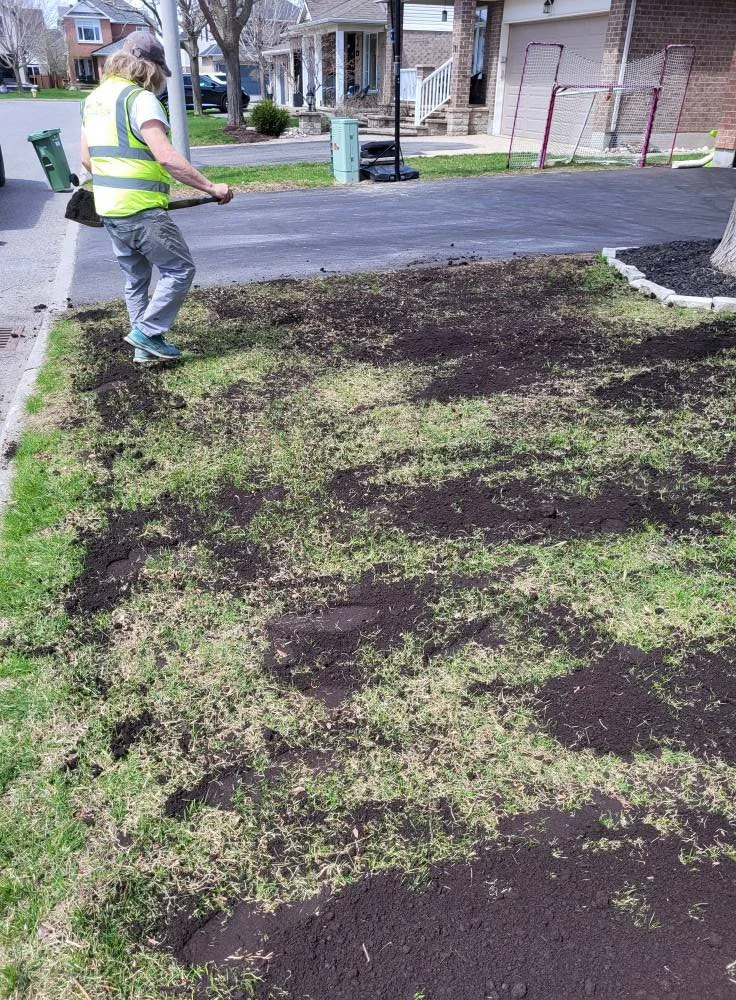Person wearing a yellow safety vest and gray pants planting grass seed on a patch of dirt in a residential neighborhood.