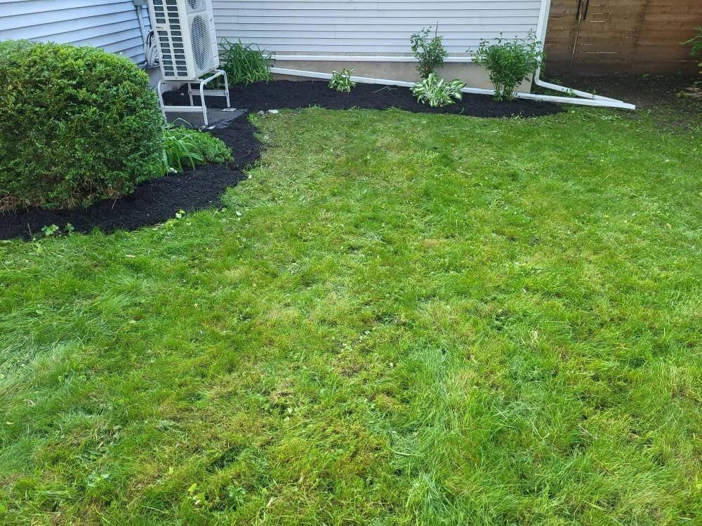 A backyard with a green grass lawn, a shrub on the left, and a flower bed with small plants and dark mulch near the house wall. There is a white chair and air conditioning unit on the patio.