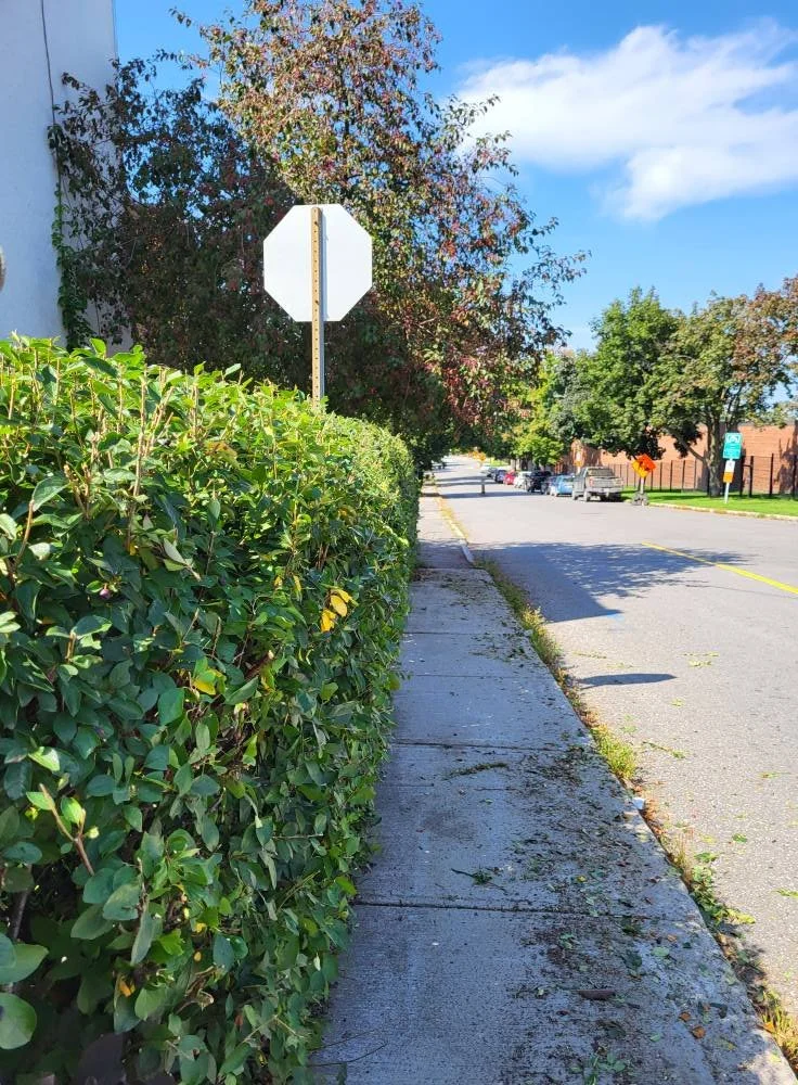 Sidewalk alongside a green hedge and parking lot with trees, parked cars, and a stop sign in the background, under a partly cloudy sky.
