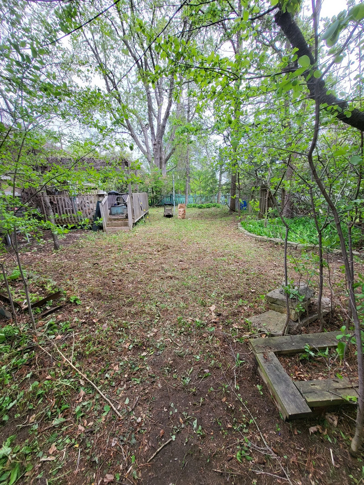 Backyard with grass, trees, and garden beds, surrounded by a wooden fence, with some gardening tools and a treehouse
