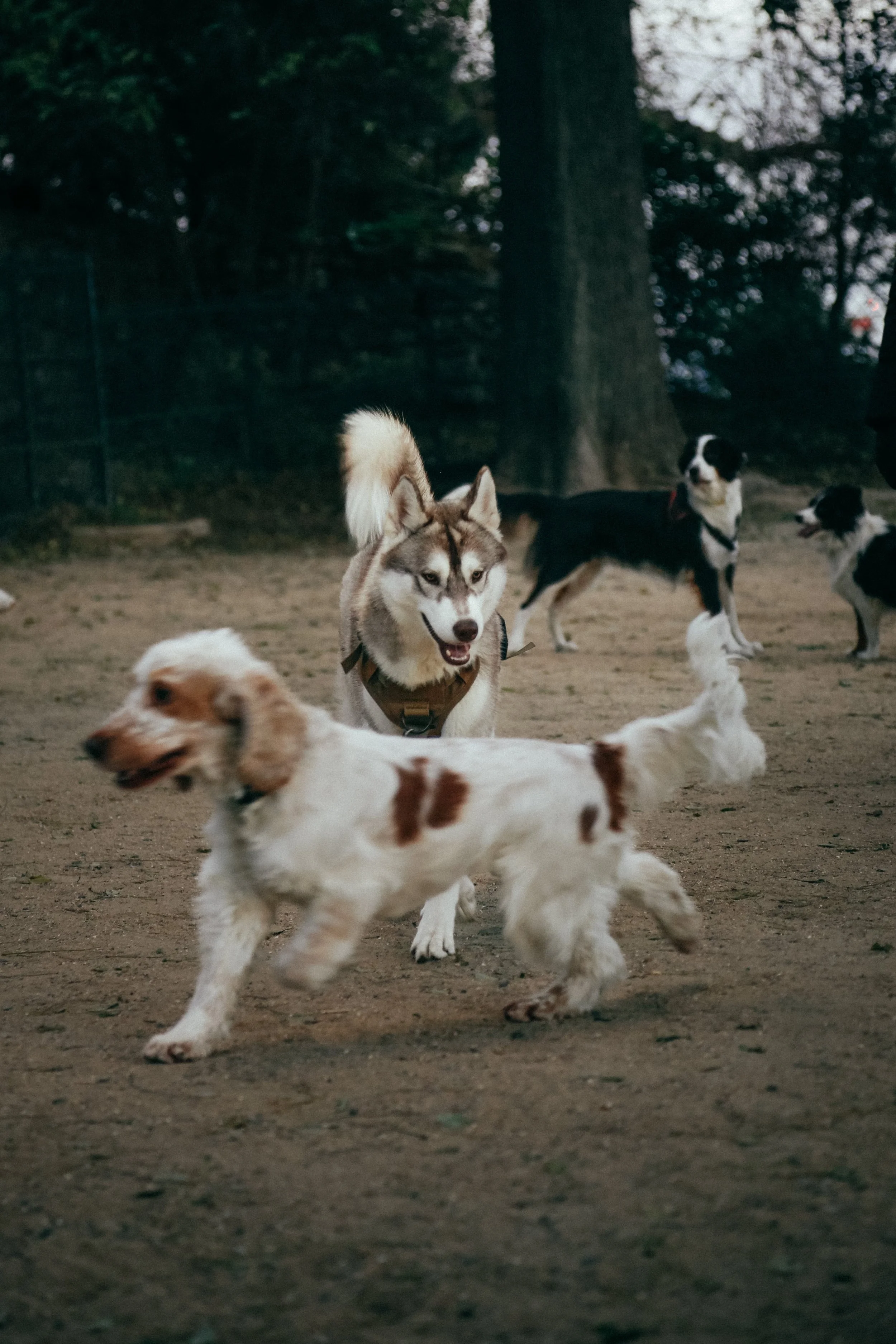_11A6350-2-min.jpg