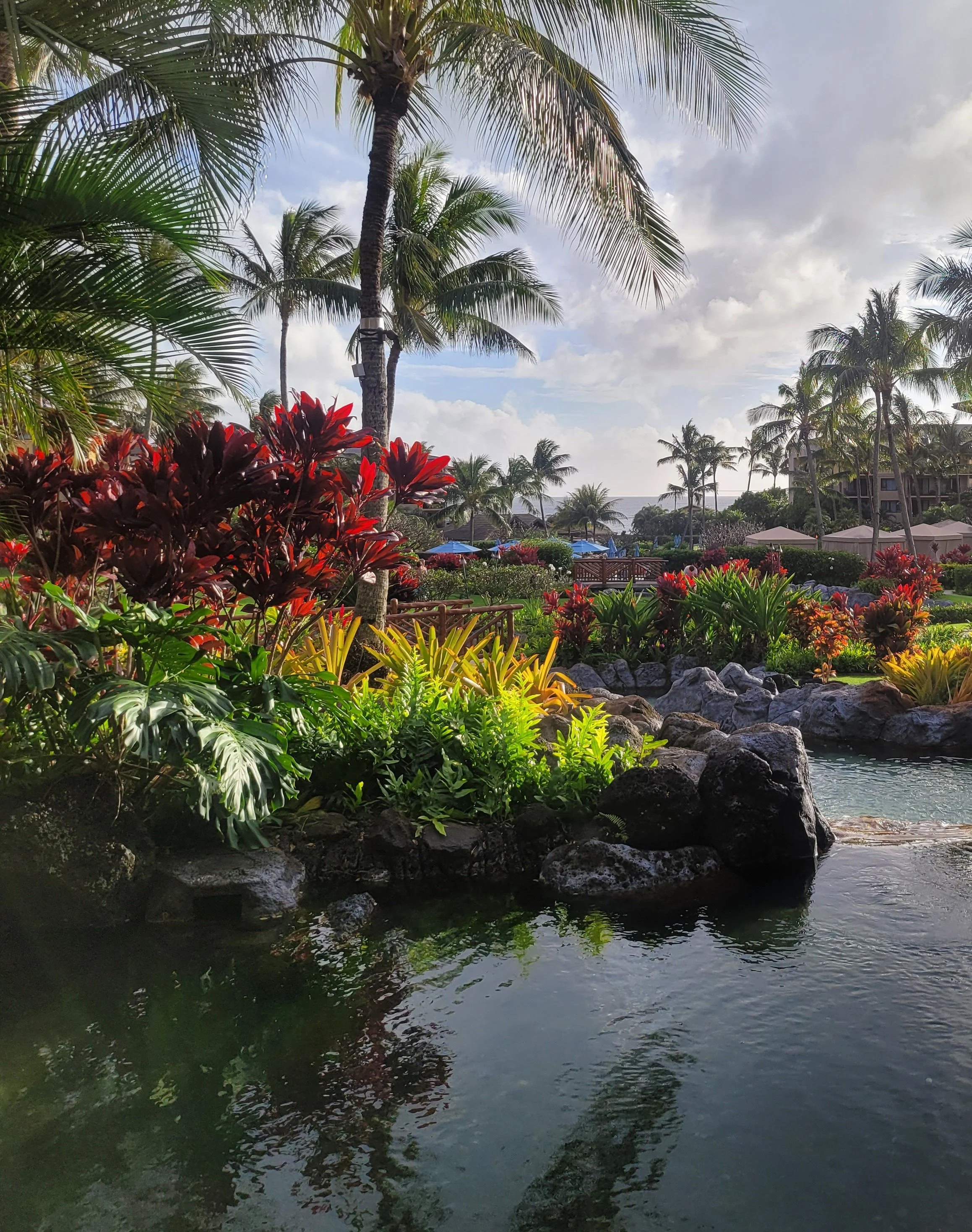 A tropical landscape with palm trees, colorful tropical plants, rocks, and a small pond. There are umbrellas and buildings in the background under a partly cloudy sky.