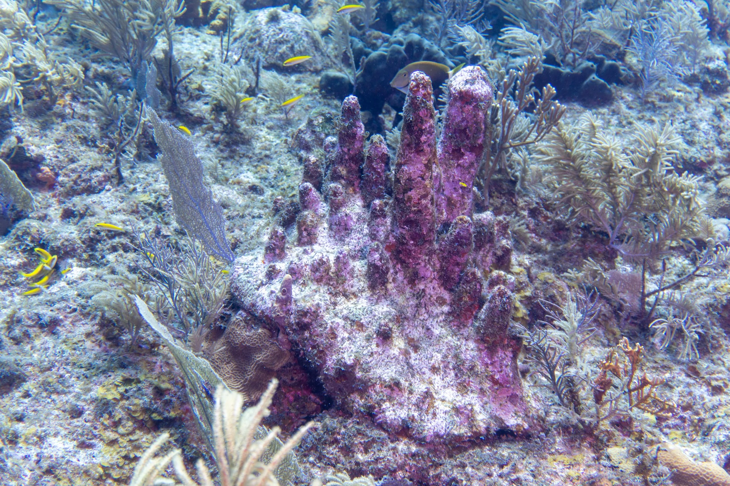 DSC05373.jpg