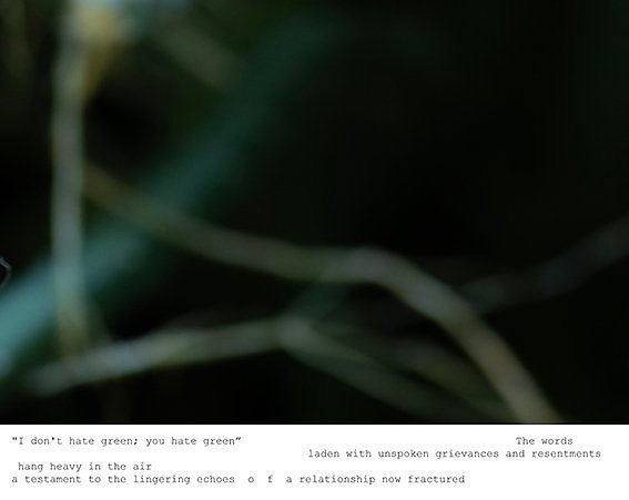 Green Colour Field Botanical Photography | Abstract Art