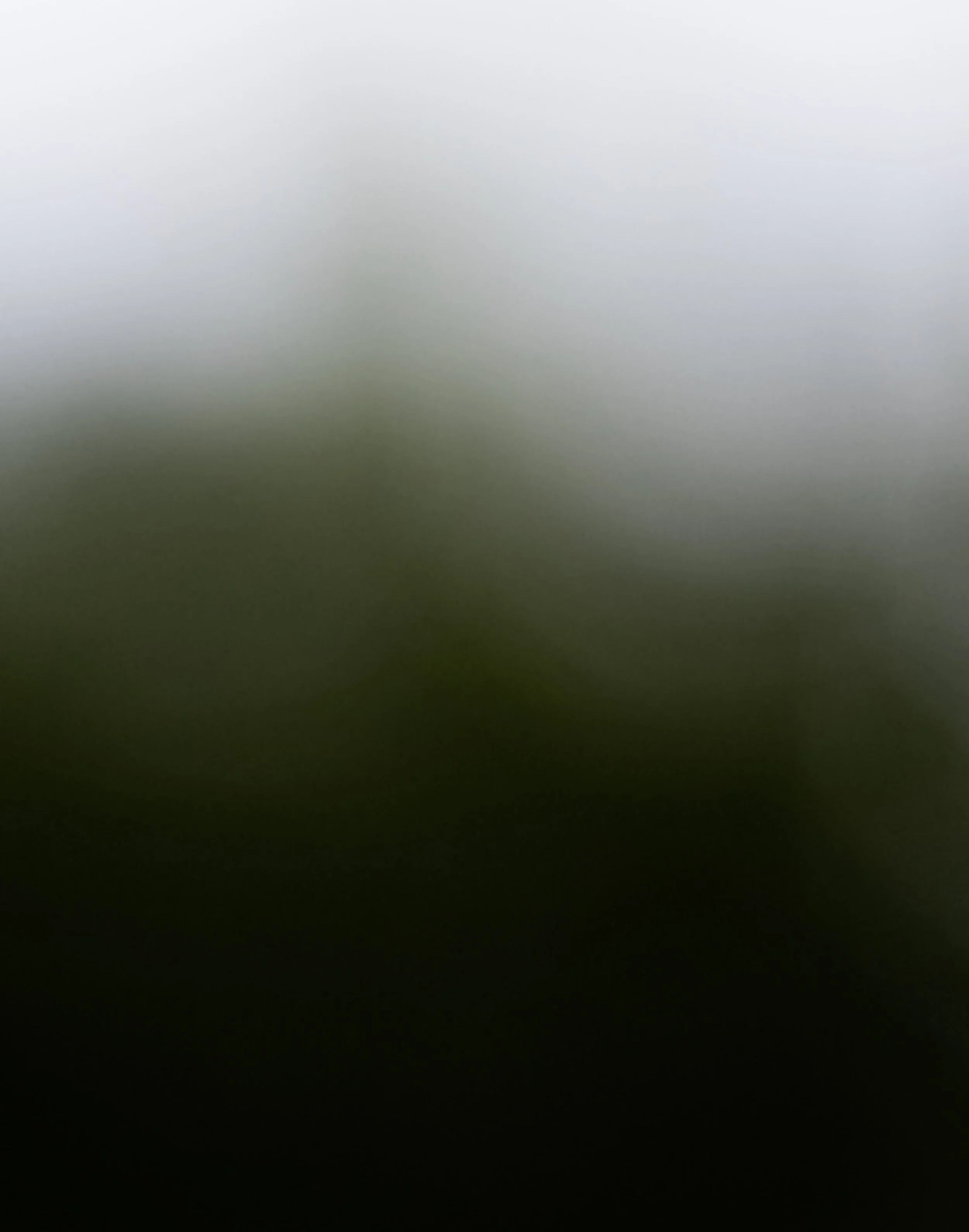 Green 66.11 x 84.1cm copy.jpg