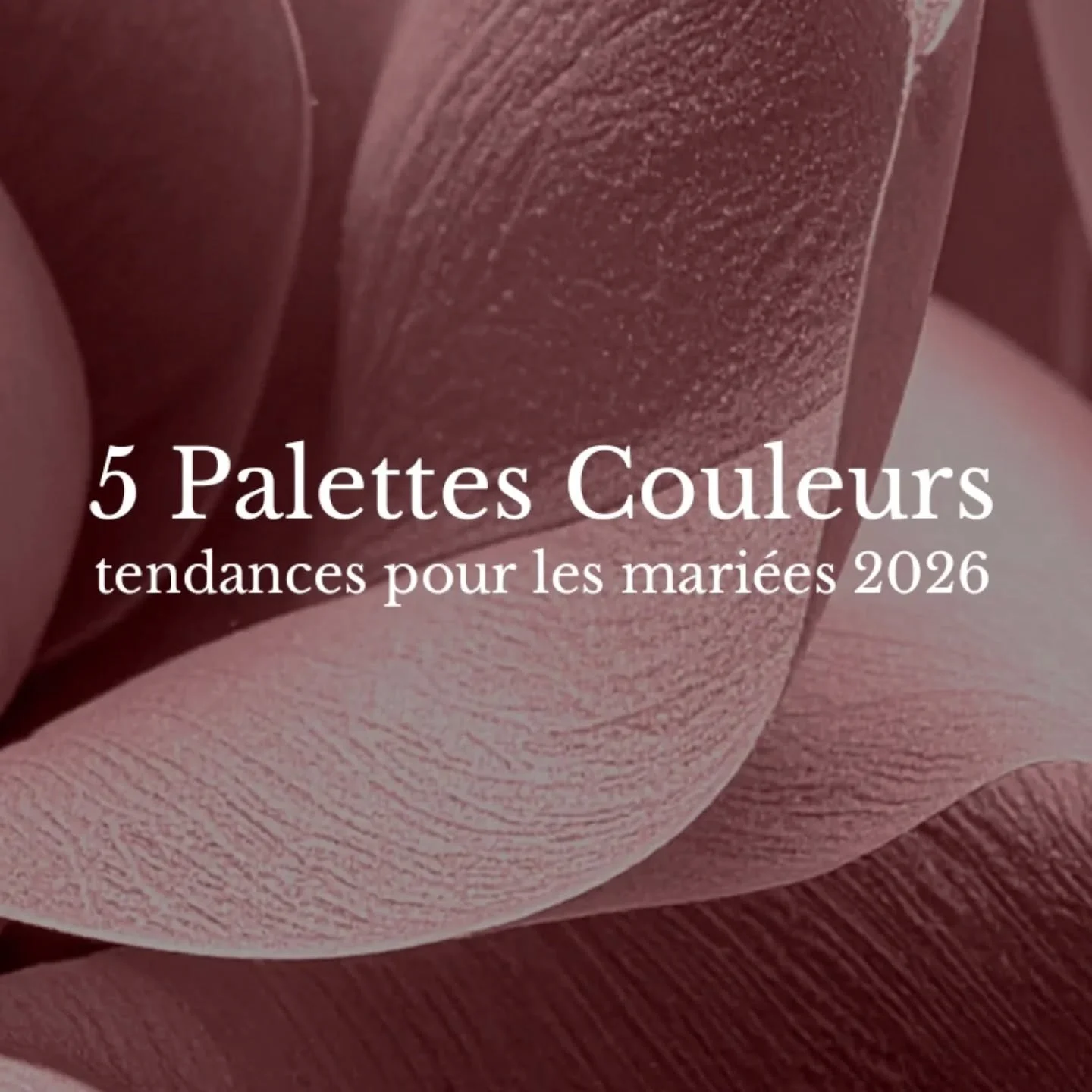 ✨ Aux Mariées 2026 :  zoom sur les tendances fashion tout juste publiées par Pantone 🌸
La palette couleur que vous choisirez donnera le ton de votre grand jour.
Voici 5 nuances issues du tout nouveau rapport Pantone New York Fashion