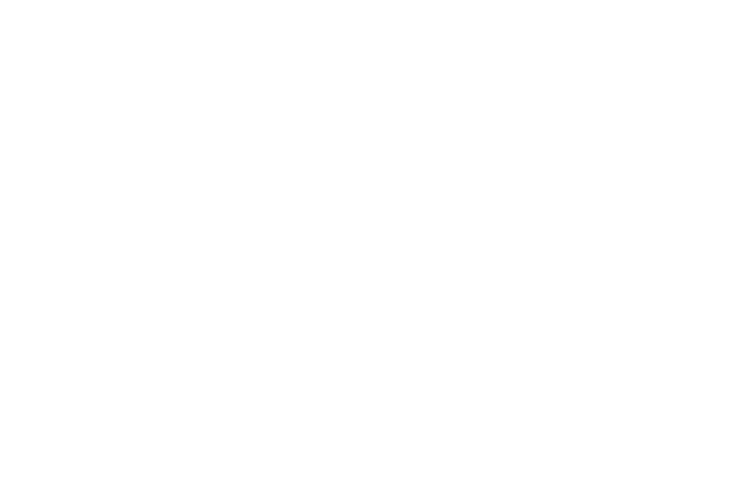 Racing concierge.png