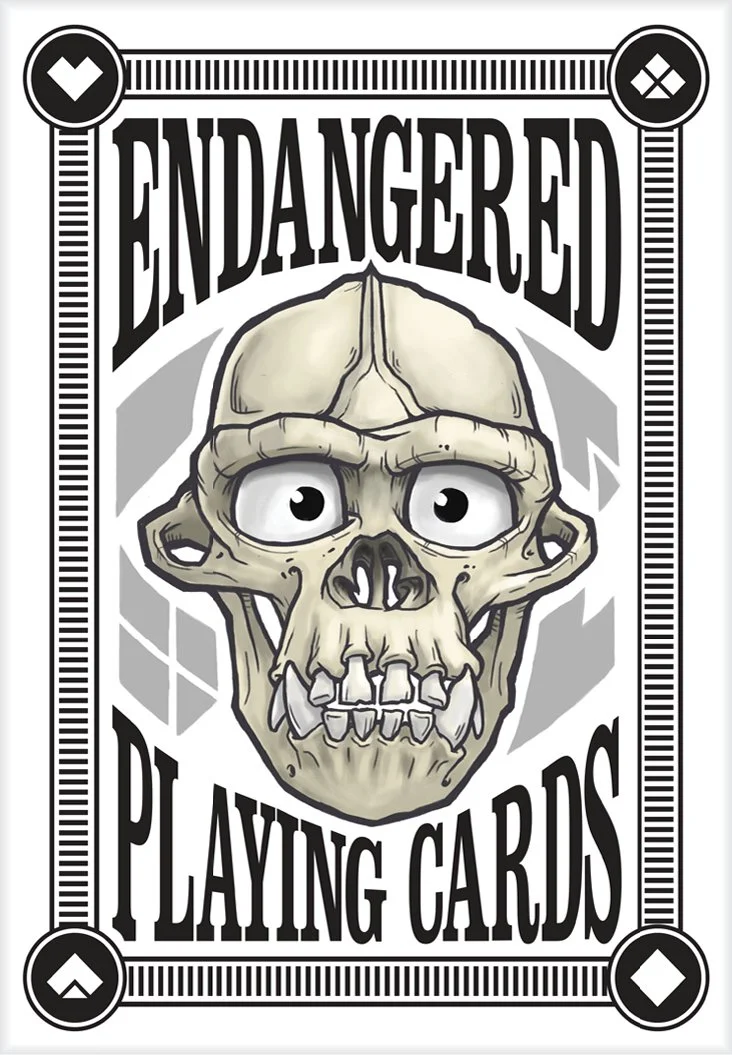 Playing Cards - Mock19.jpg