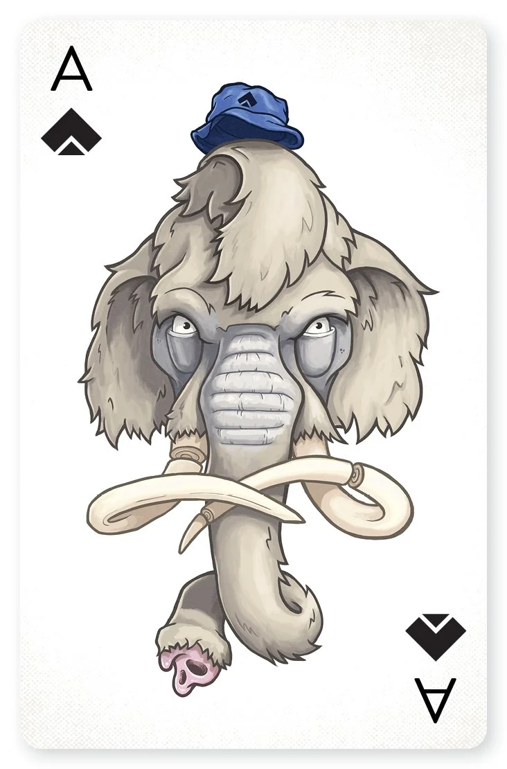 Playing Cards - Mock.jpg