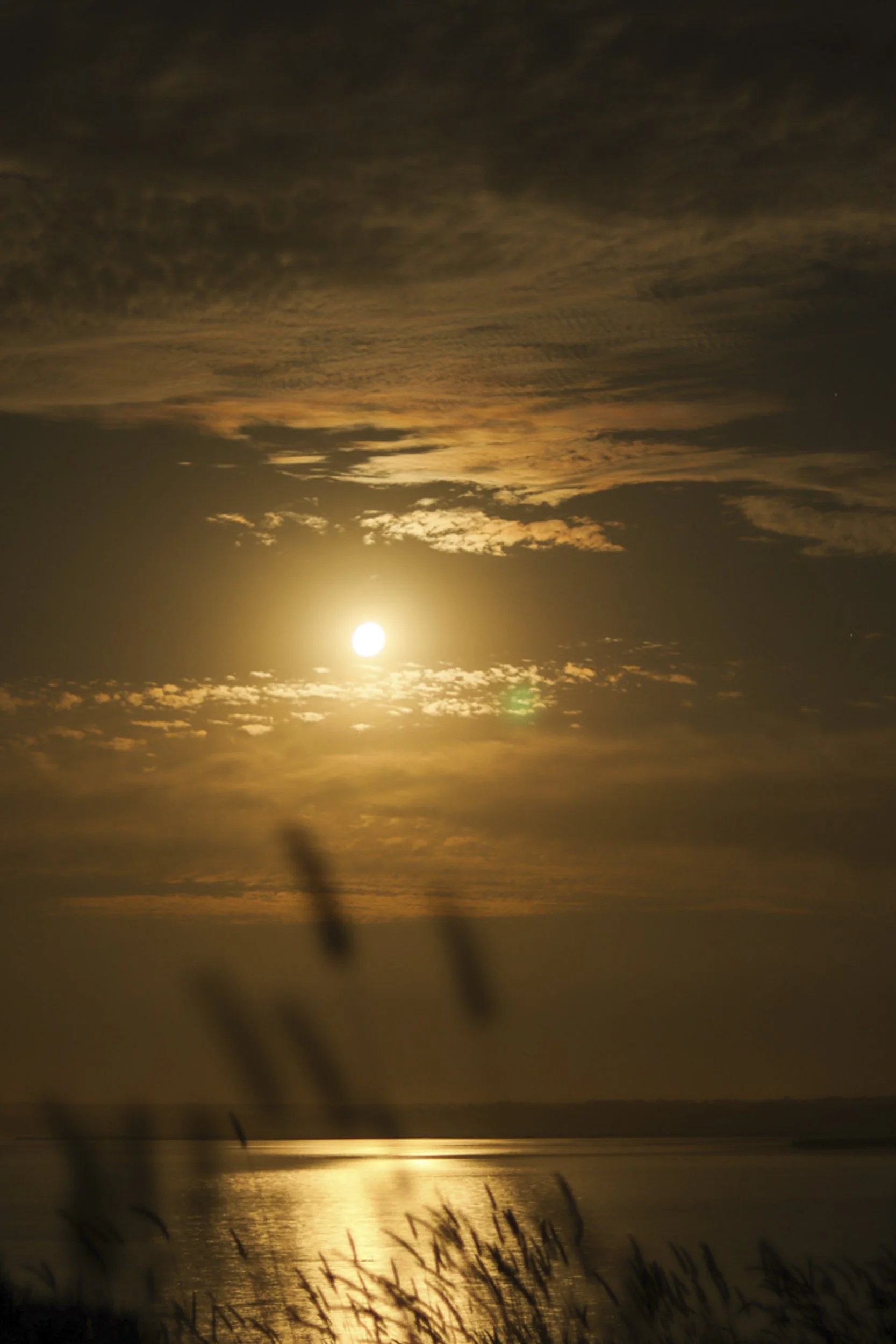 Landscapes-8.jpg