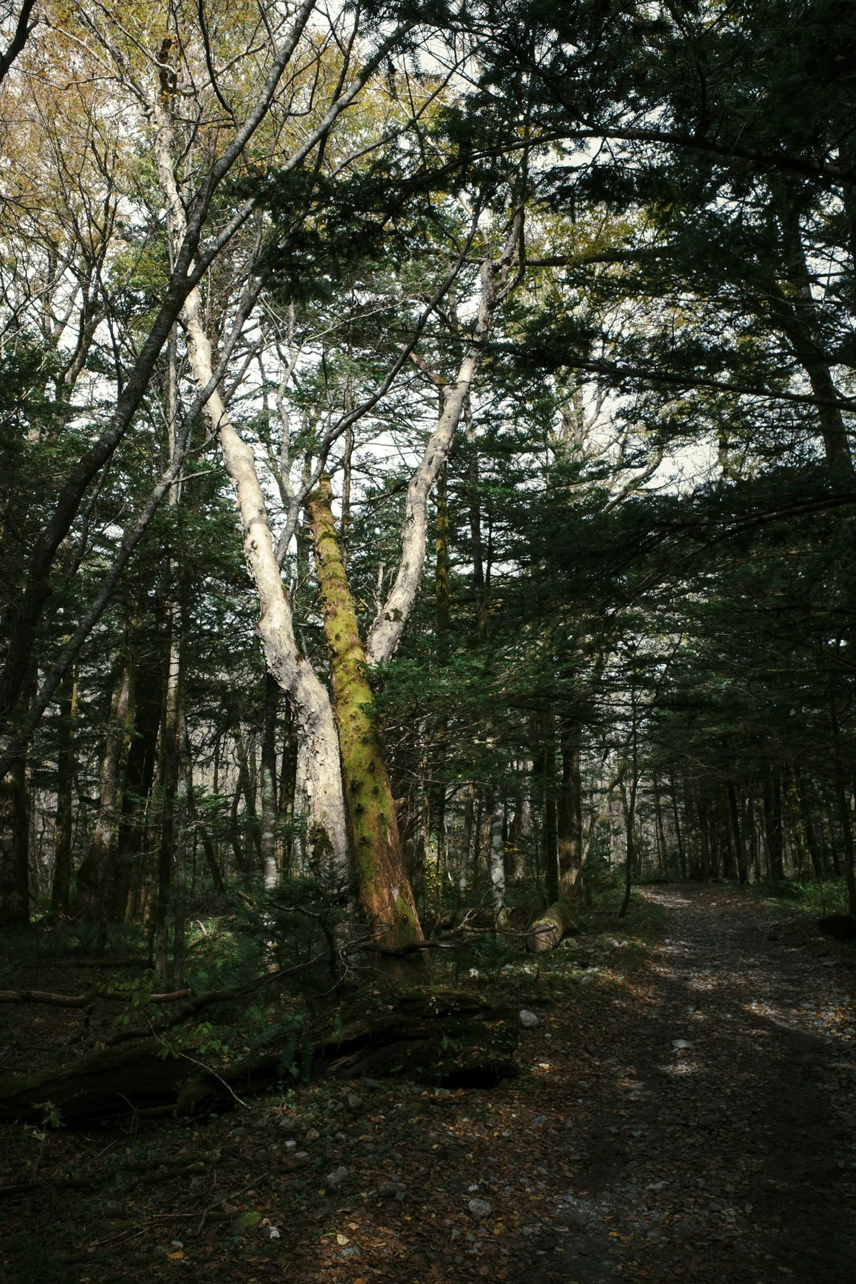 Travel-24.jpg