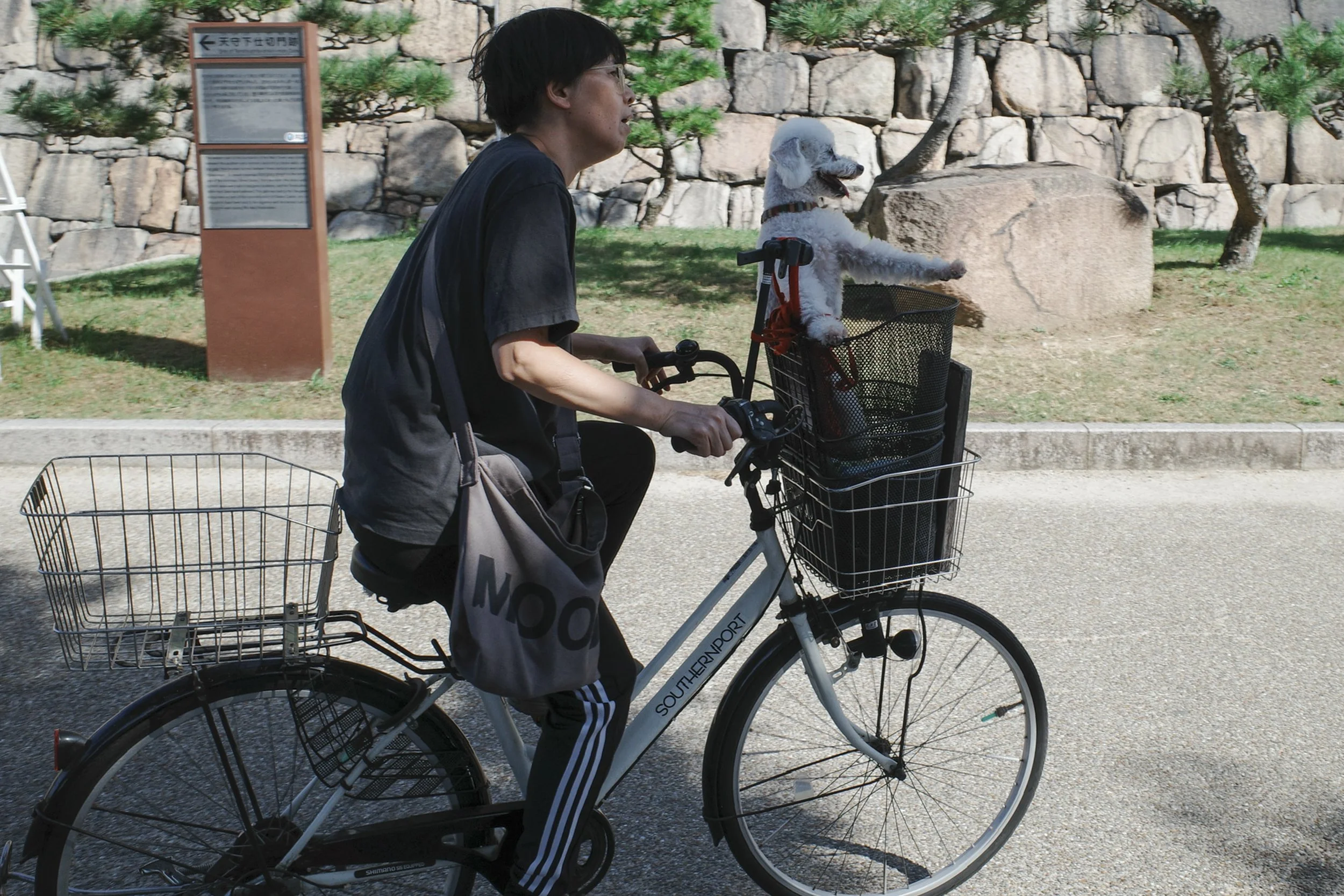 Personal-20.jpg