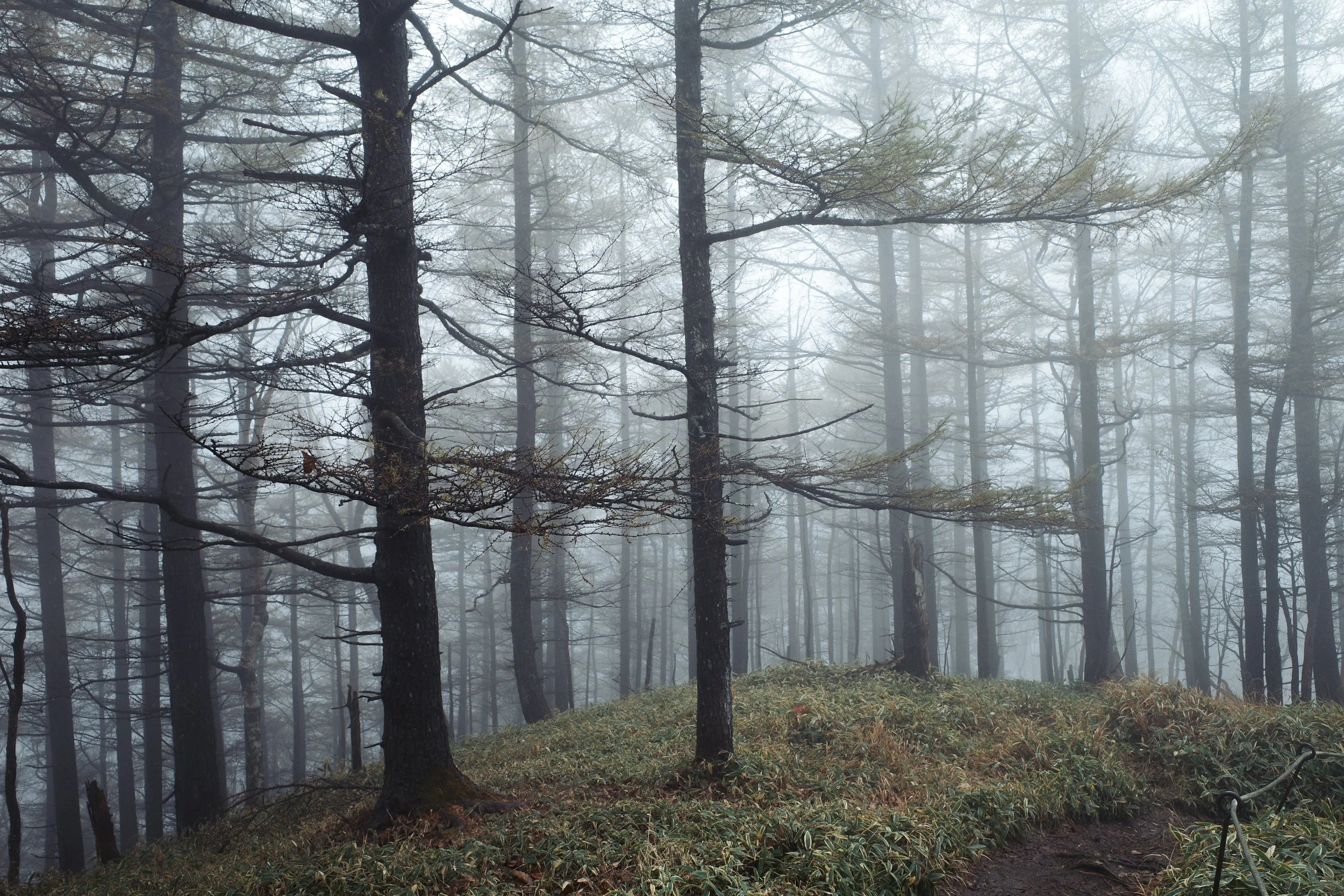 Landscapes-20.jpg
