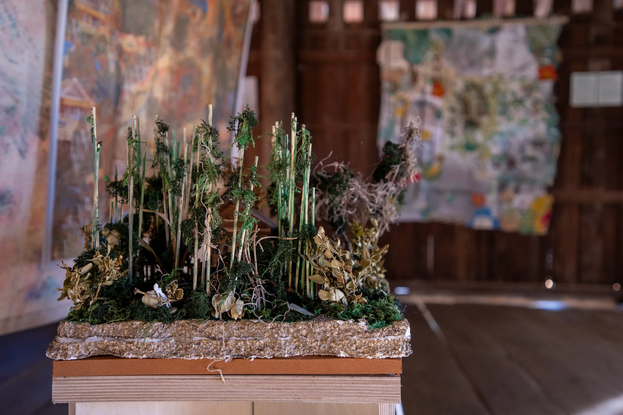 JT Farm_Dec15-141.jpg