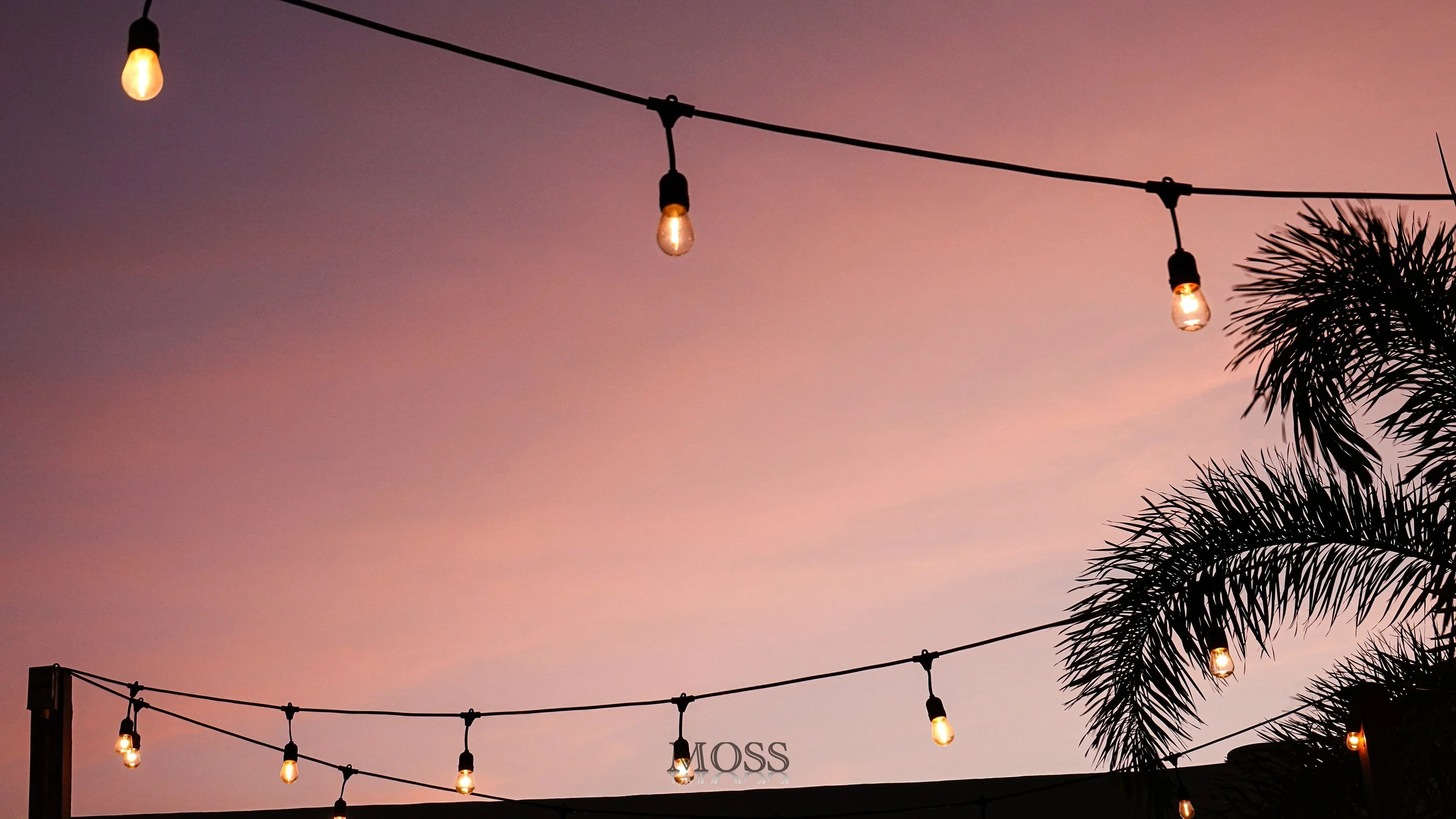 String lights hanging against a pink and purple evening sky with palm trees in the foreground.