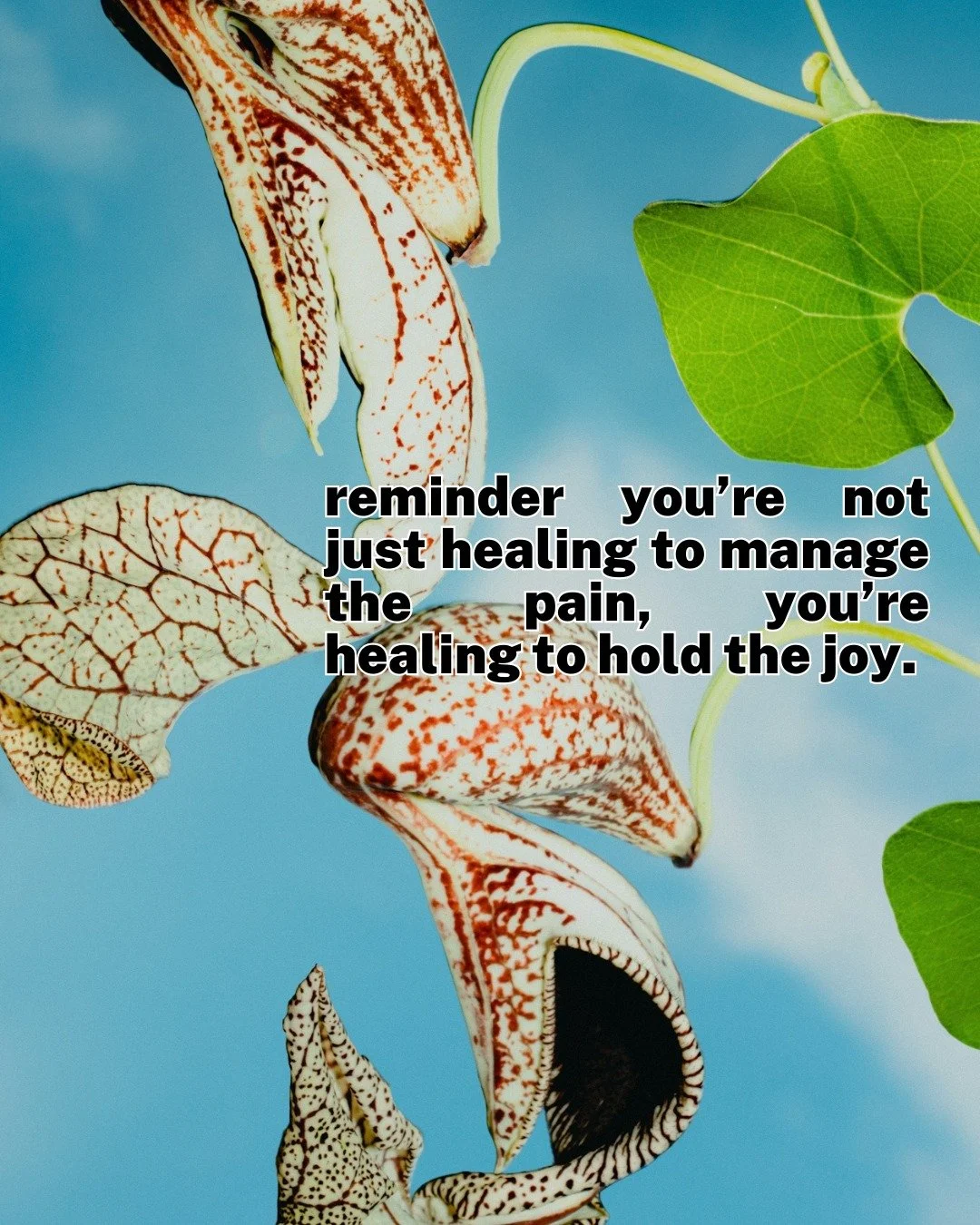 read it again 🫶🏻