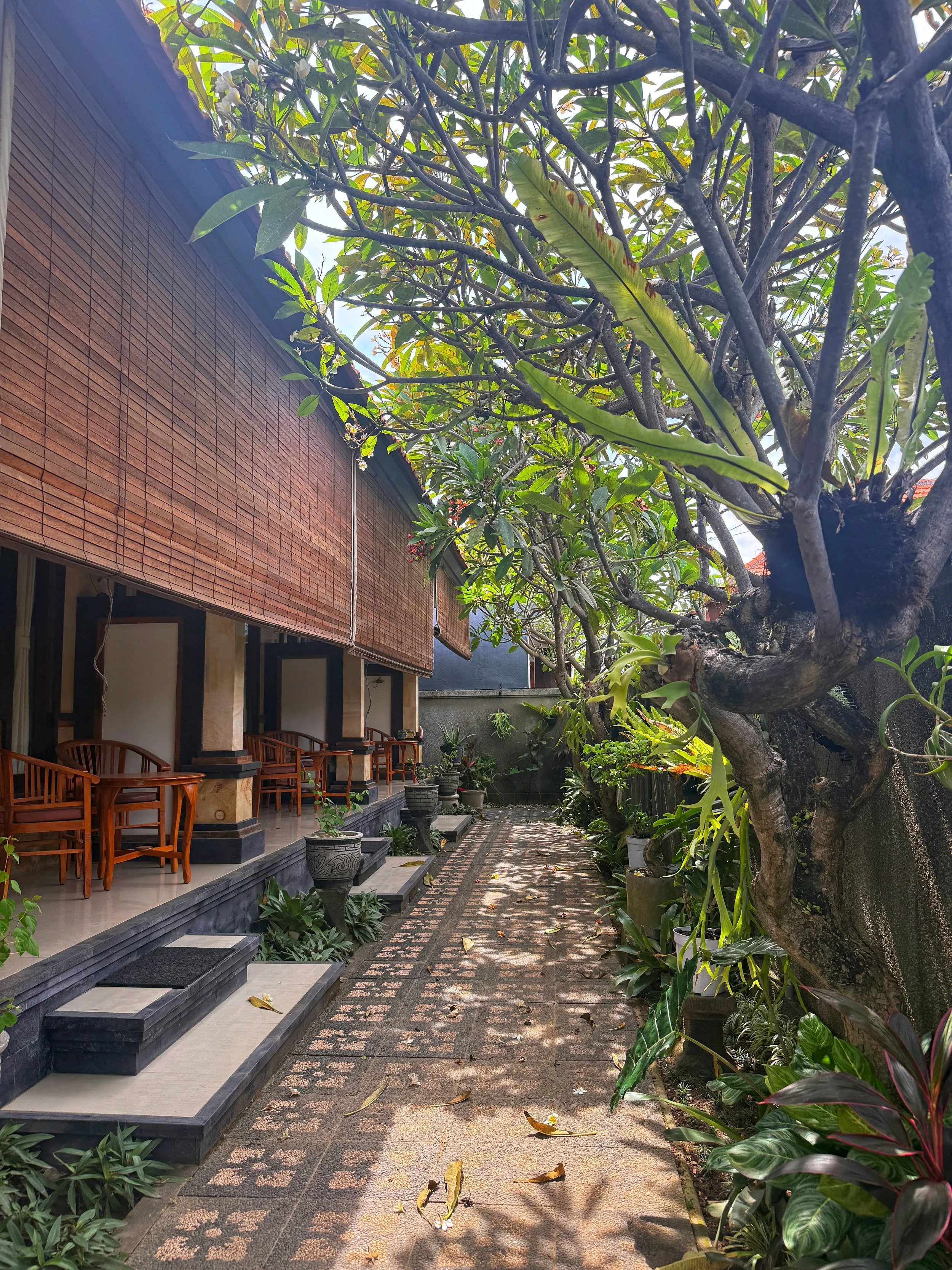 Taman Bali Homestay (Sanur, Bali)