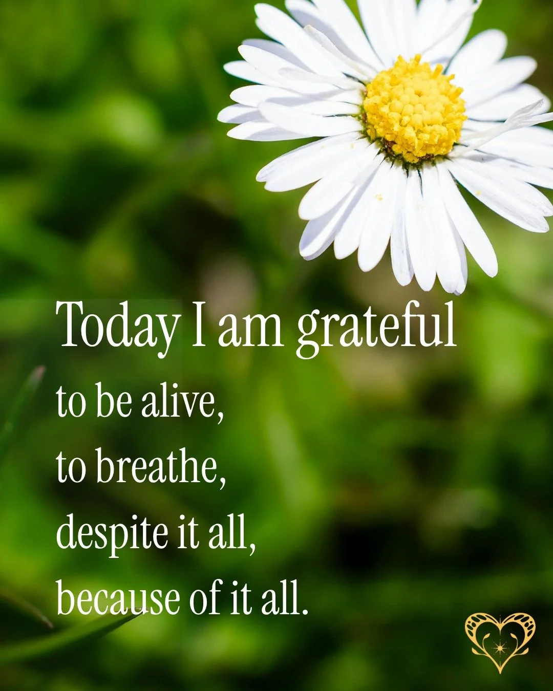 Today I am grateful.

Grateful to be alive.
Grateful to breathe.
Grateful for this moment&mdash;despite it all. Because of it all.

Gratitude doesn&rsquo;t erase the hard, but it opens the door to peace.

Today, I invite you to breathe in gratitude a