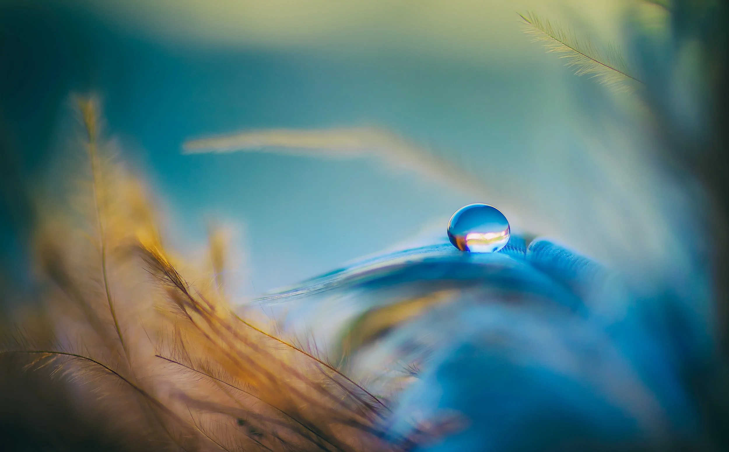 Water droplet