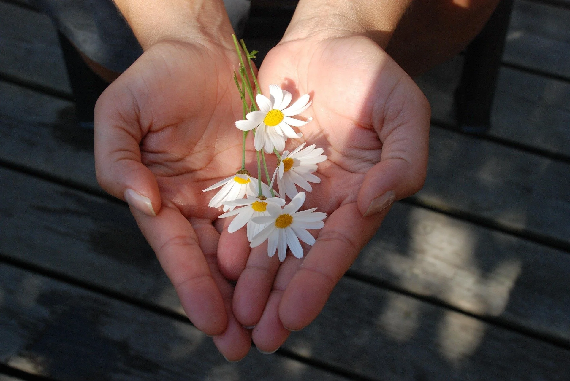 Flowers in the palms of hands