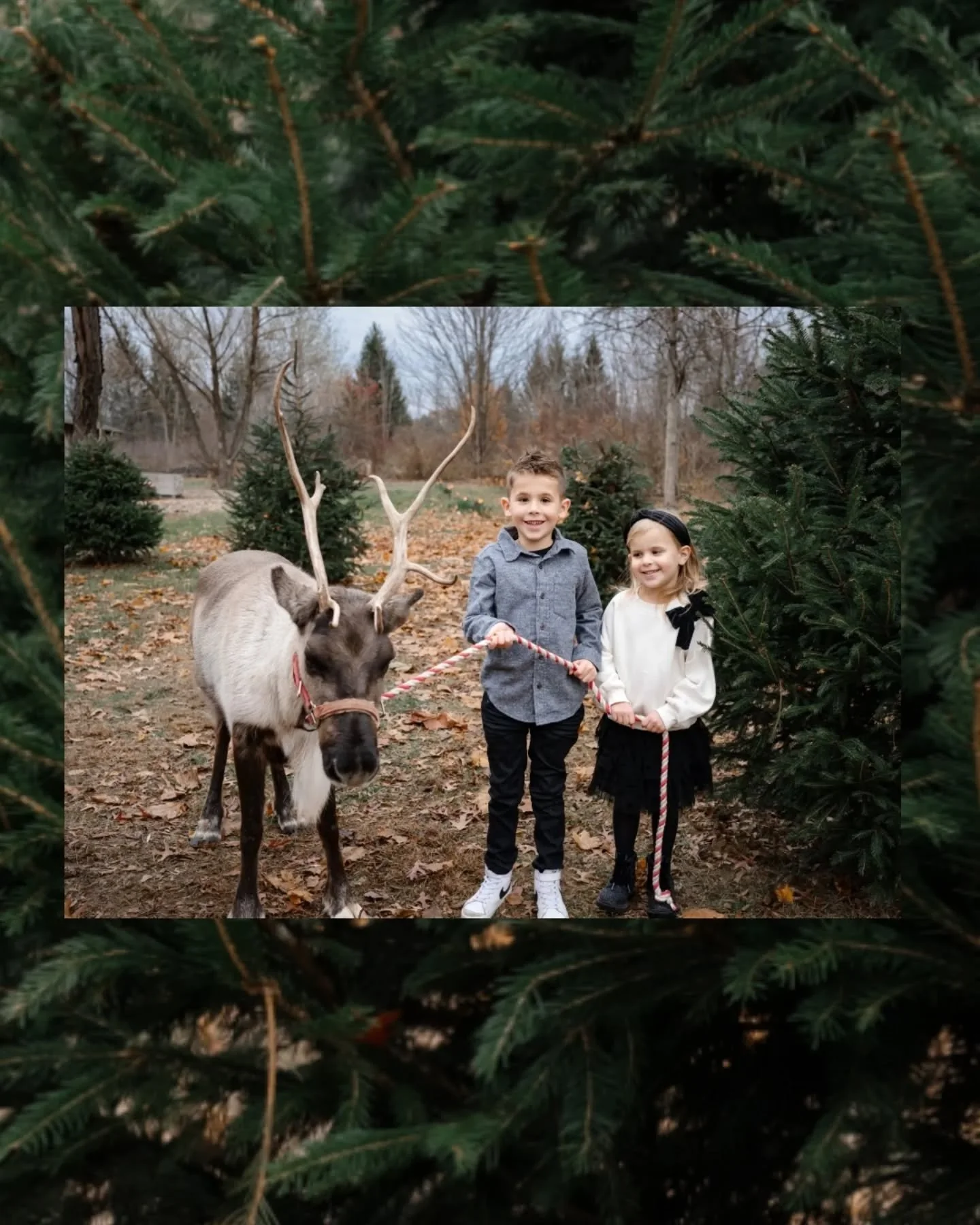 I love this time of year. ✨

The quiet magic. The togetherness.

All of it.

Wishing you and your family a holiday season filled with joy and peace. ❤️