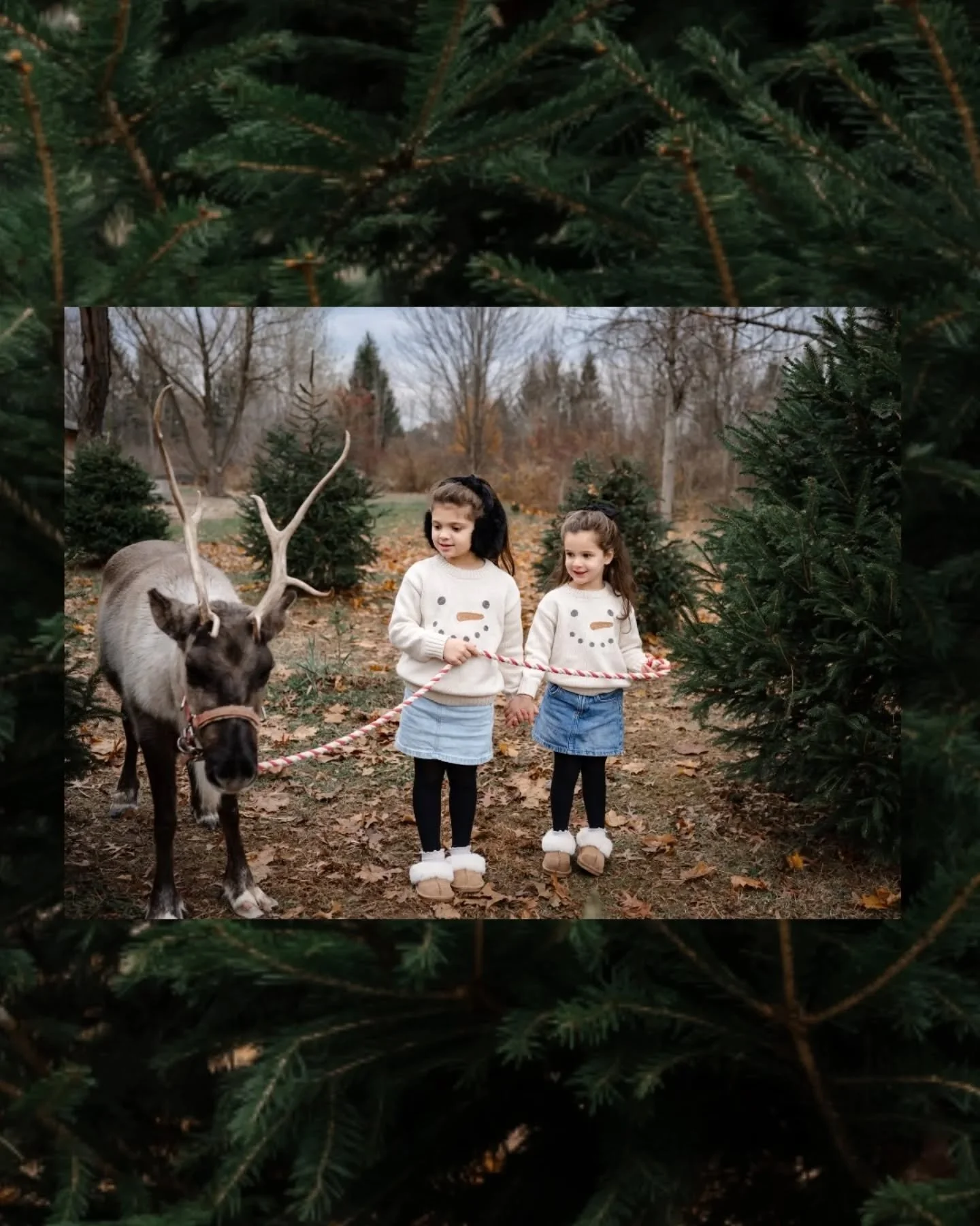 Rounding out this year's Holiday Minis with my own little turkeys...

Always my most challenging clients, forever my most favorite ❤️ ❤️ 

Make sure you don't miss the personality pic on the last slide 😆