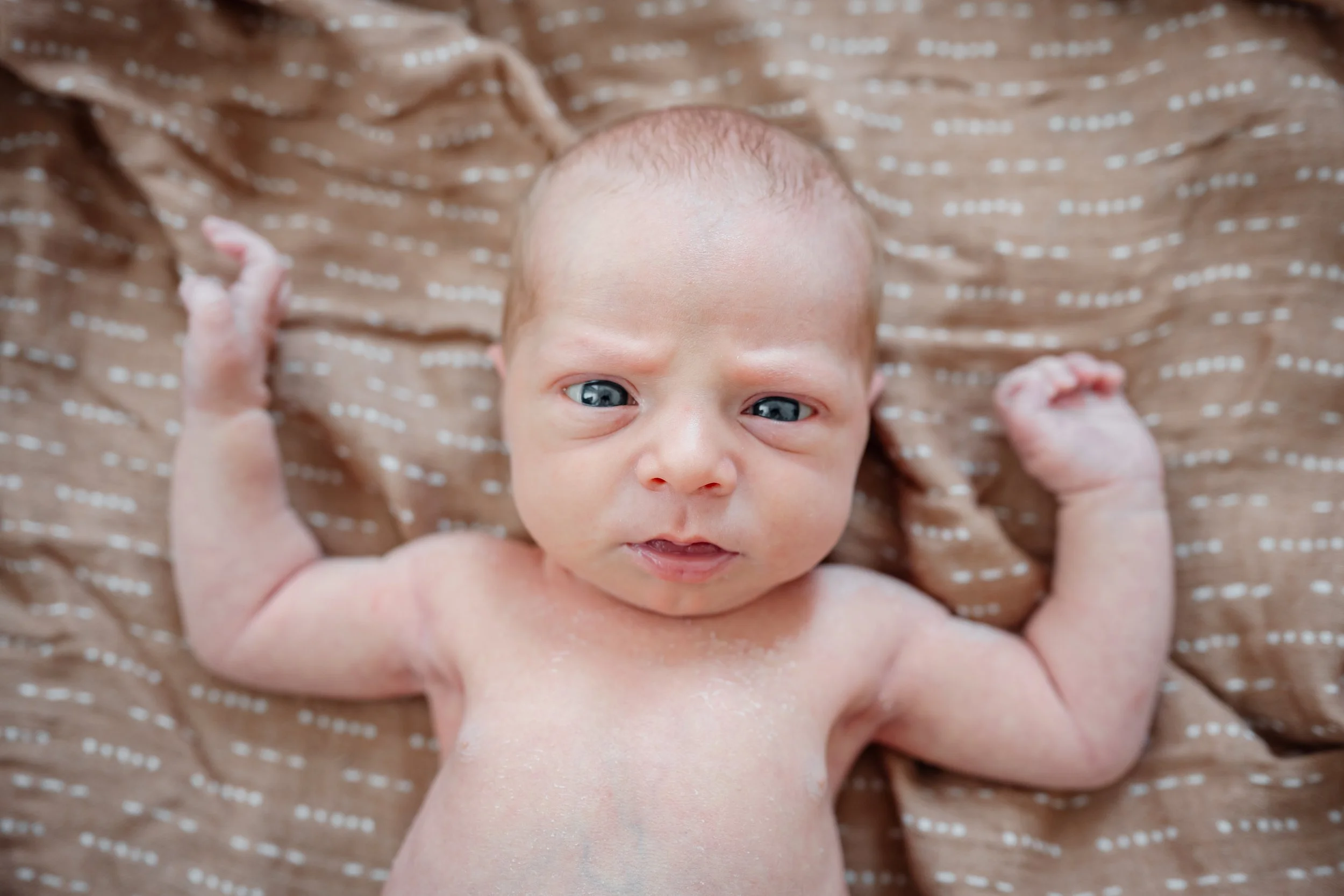 Overhead view of a newborn baby lying on a soft patterned blanket, looking up at the camera with bright eyes during an in-home newborn photography session.
