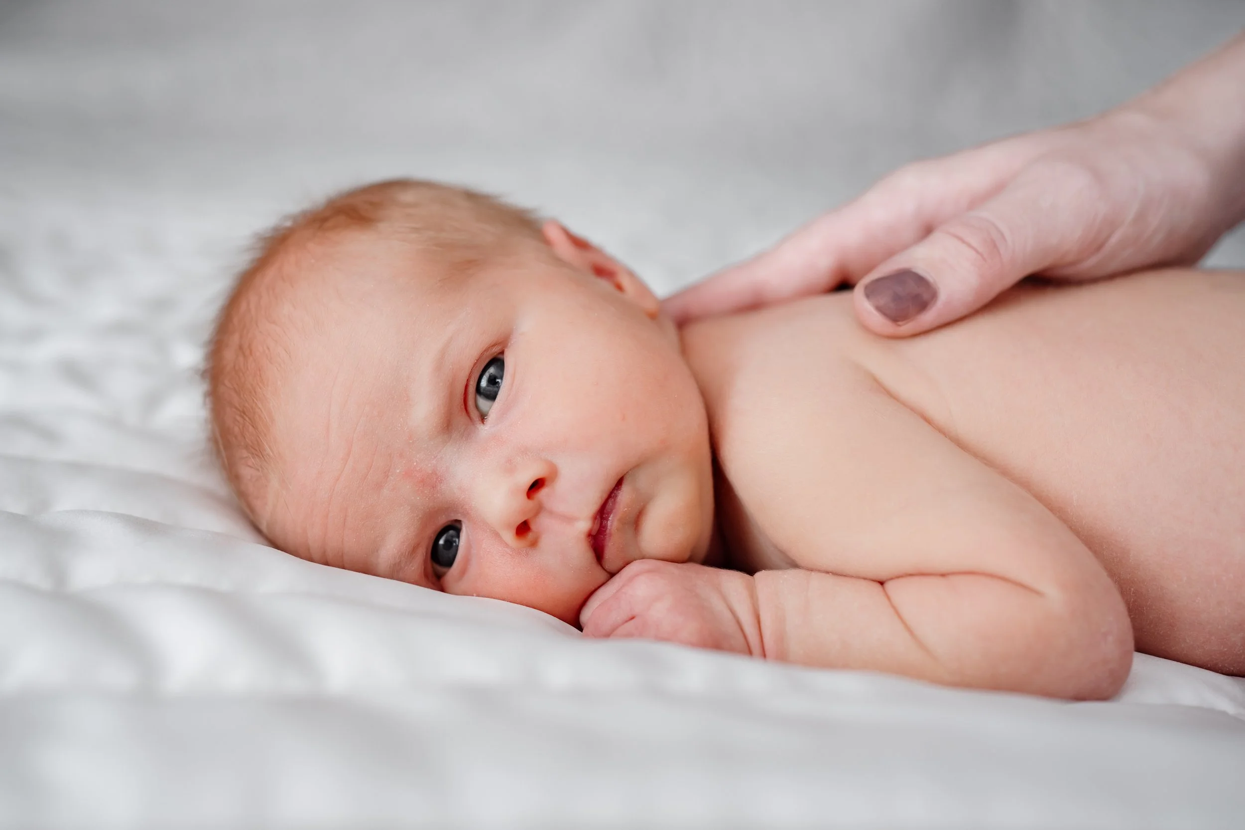 A newborn baby lying on a white blanket, looking at the camera with blue eyes, while a hand gently touches their back.