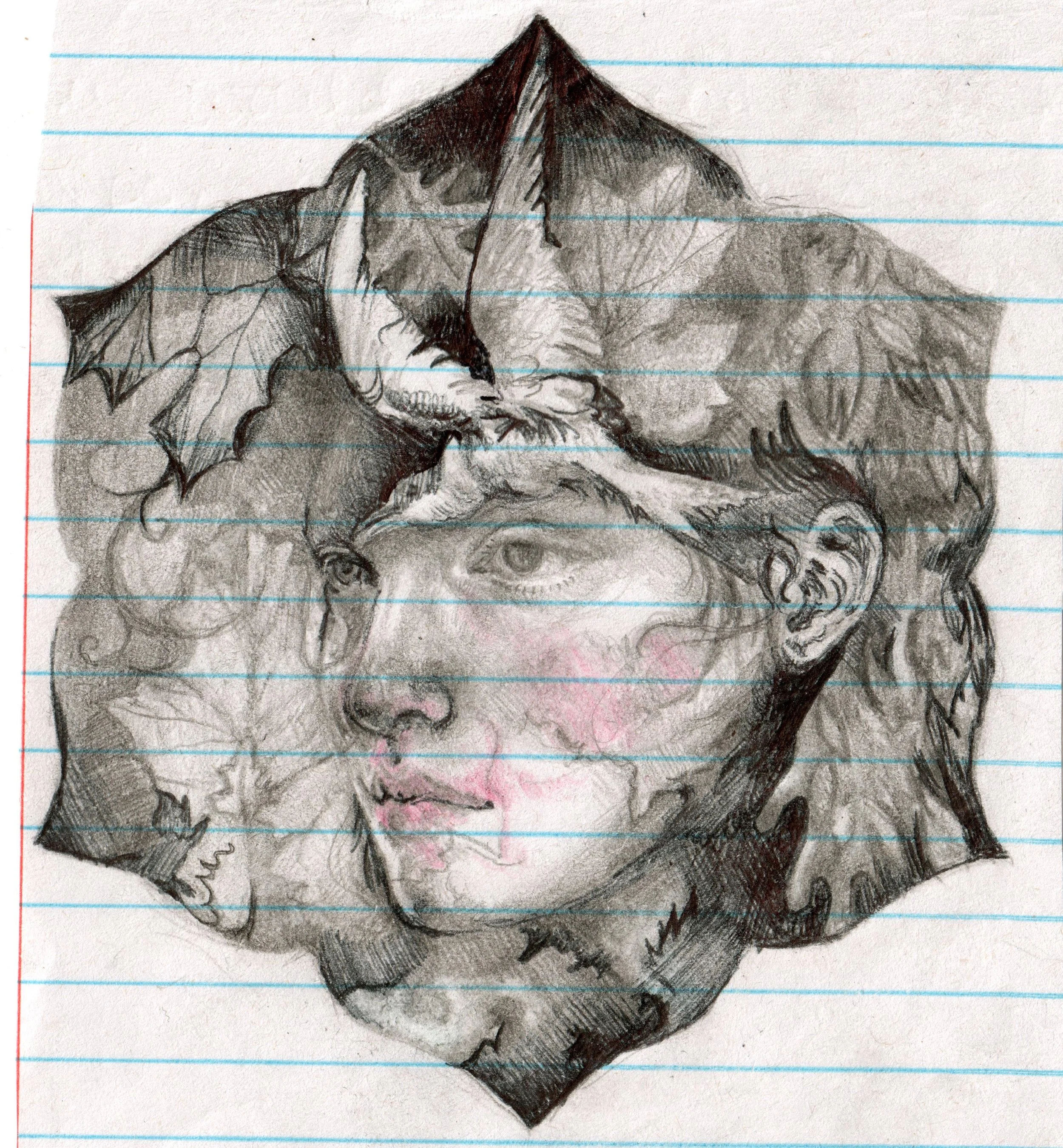 dahliasketch.jpg