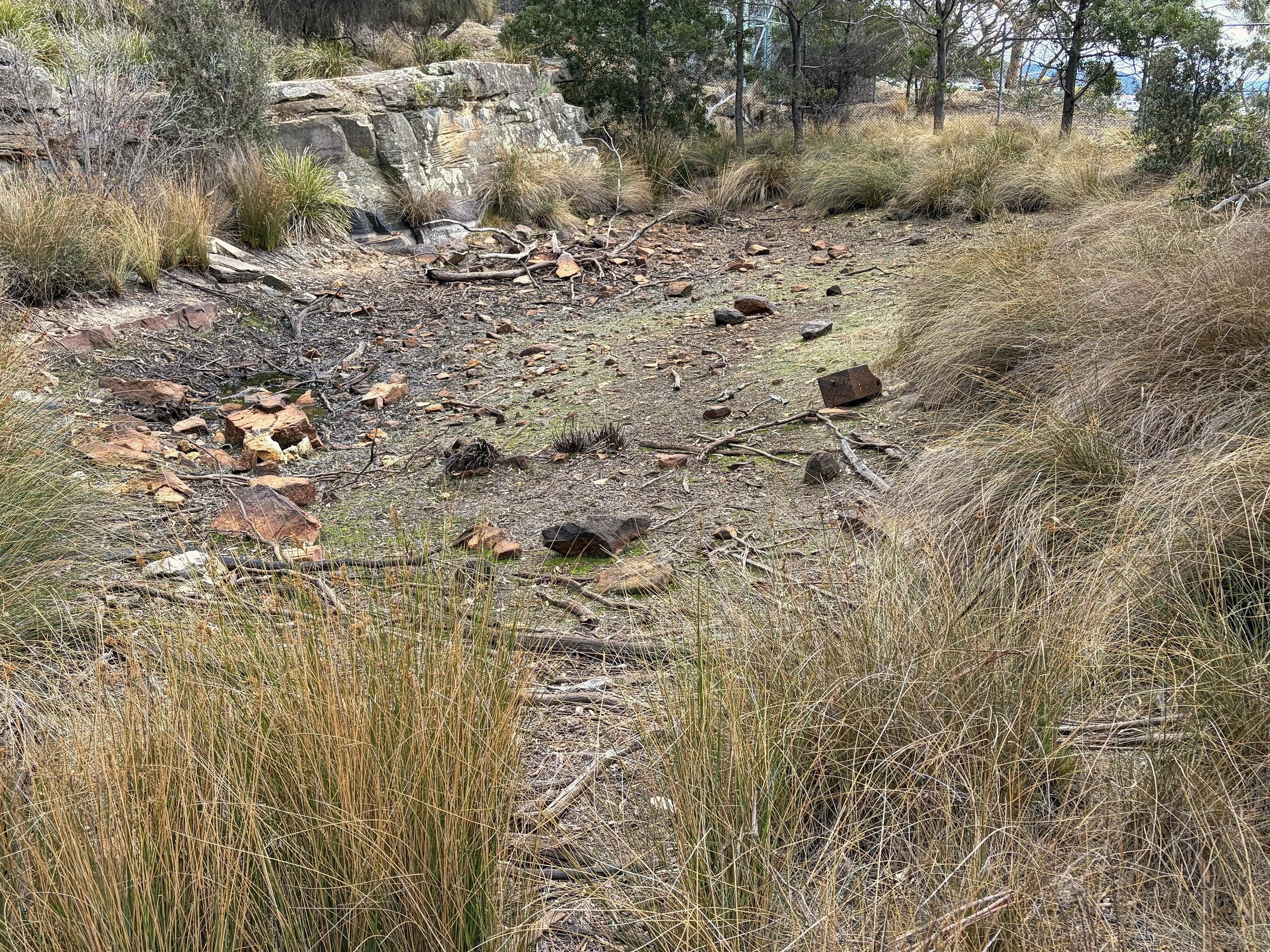  Persistent dry weather has parched the natural ponds in the Reserve 