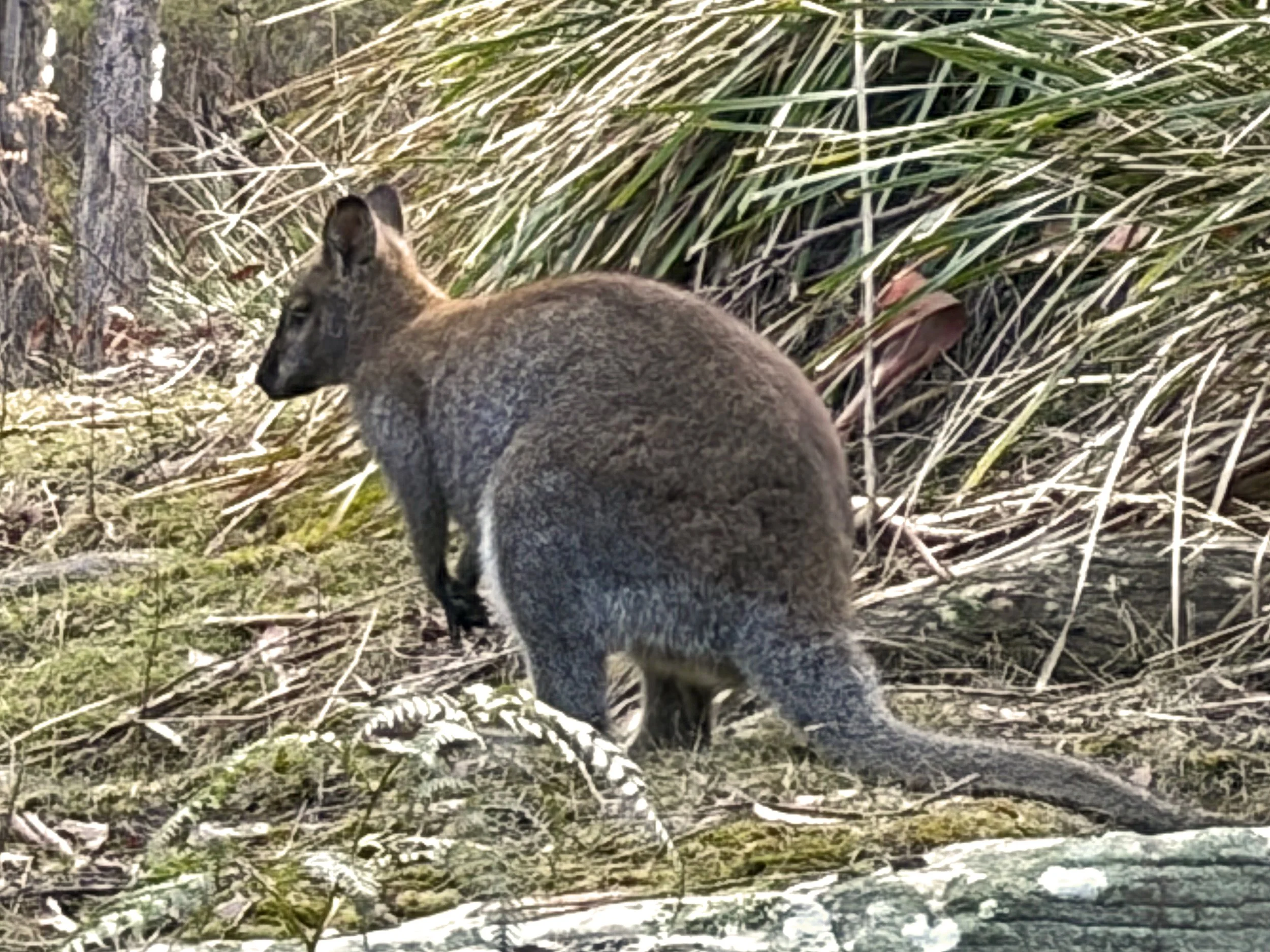  A local supervisor checking on our work  