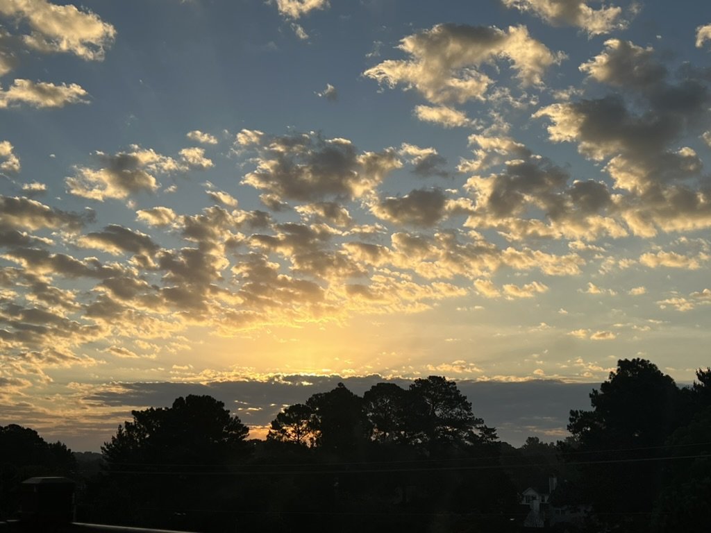 11491E89-CC76-4B00-92D6-5351C25C9119_1_105_c.jpeg
