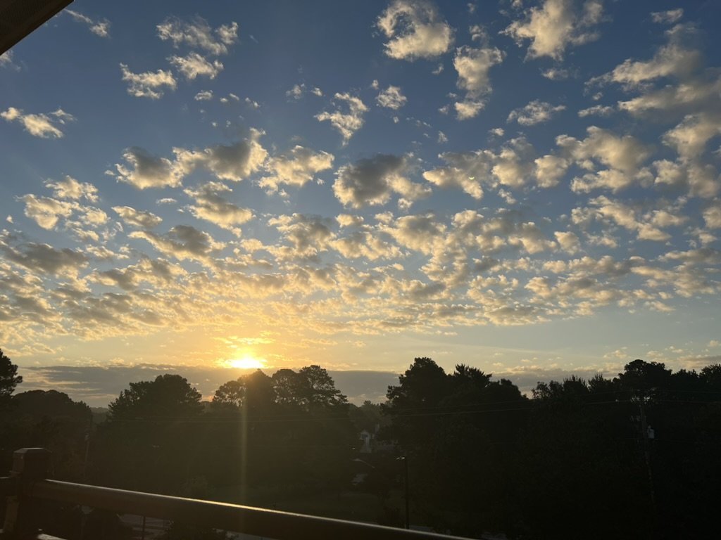 7B7497BA-24A8-46BD-B3C2-83287C08FEAF_1_105_c.jpeg
