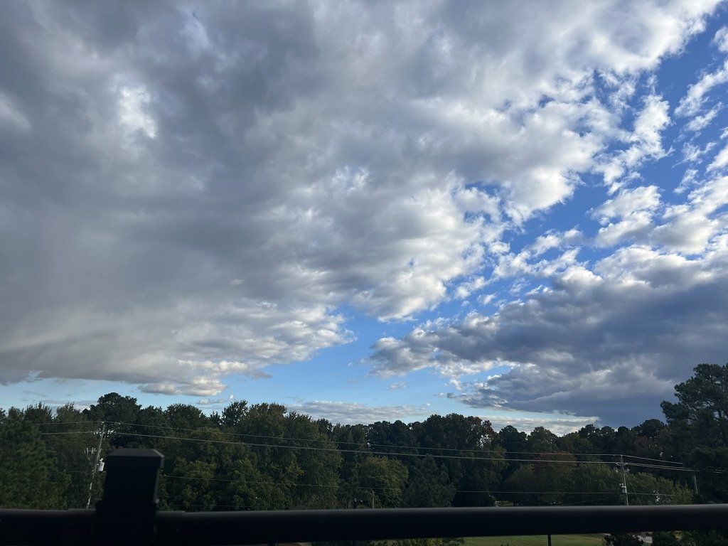 879761C3-2166-4D99-AAE1-E5EFA3872C0A_1_105_c.jpeg