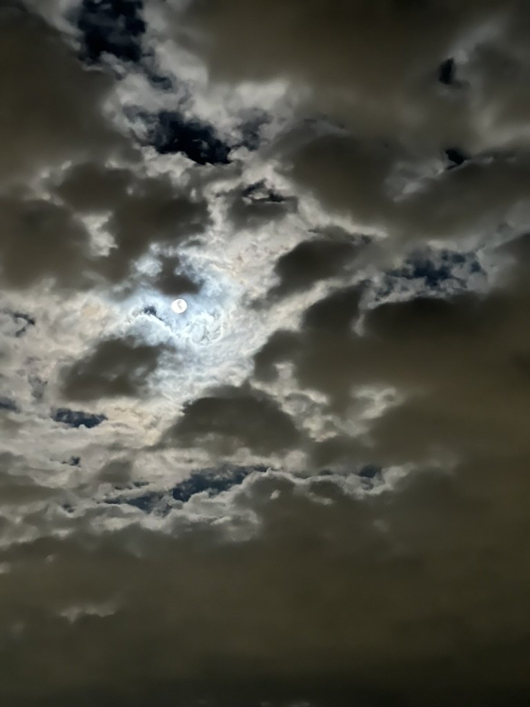 7509B762-616F-47B1-875E-71C717C8E6E9_1_105_c.jpeg